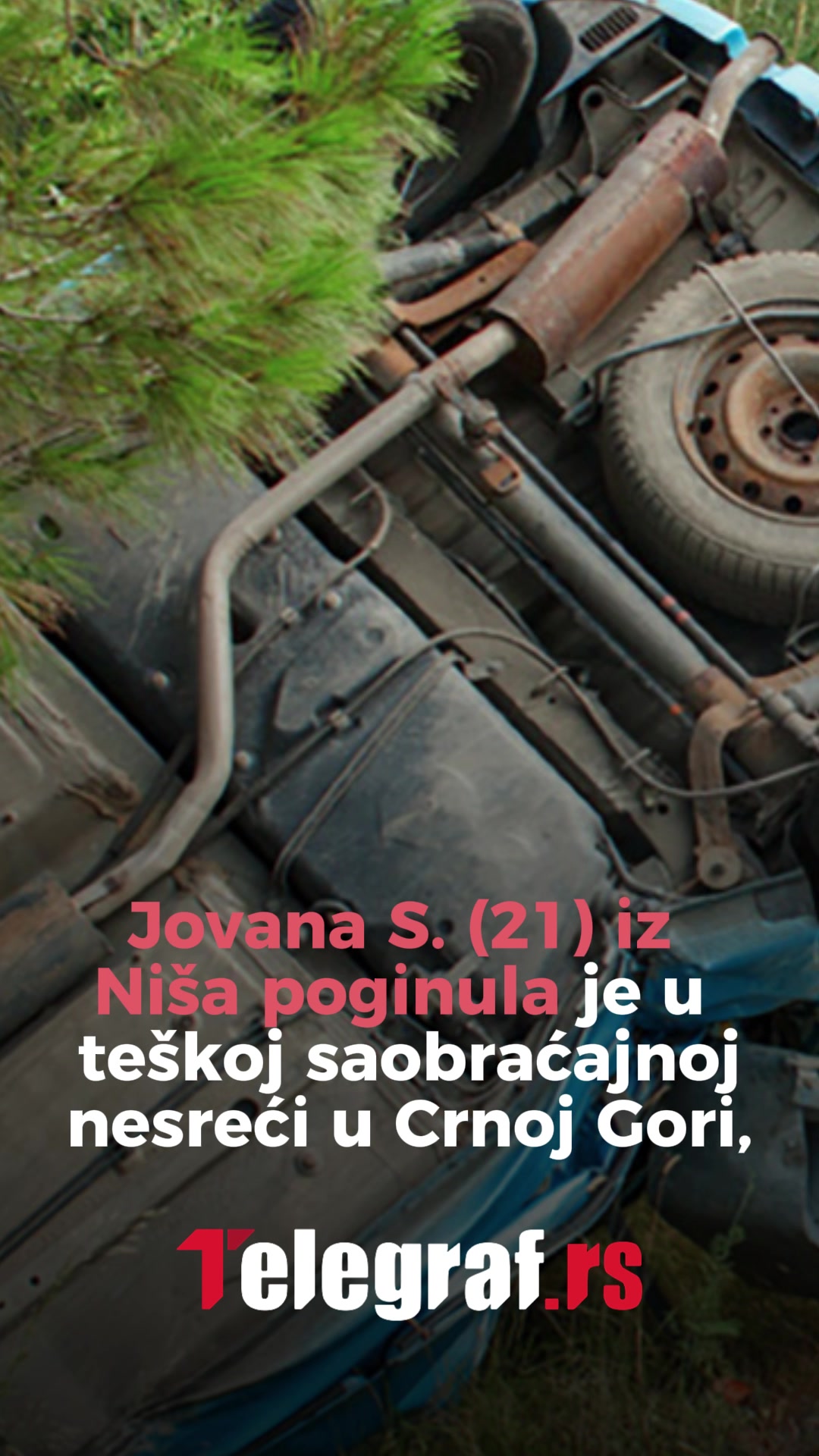 @telegrafrs