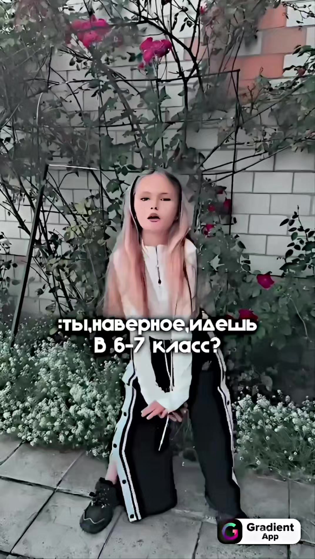 @milita.mi