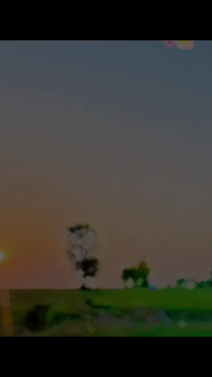 @علی حمزہ512