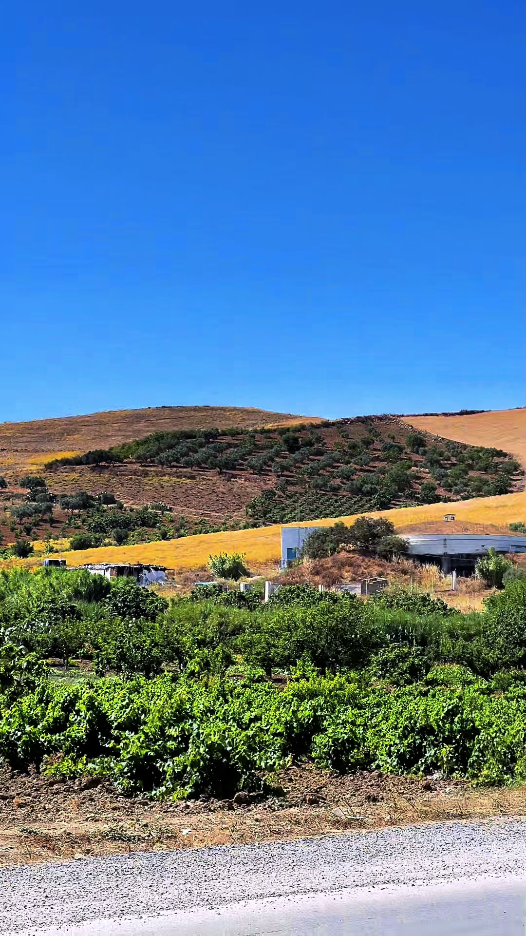 @رَائِدْ|★&hearts;︎البيريش&hearts;︎★🖤🦅