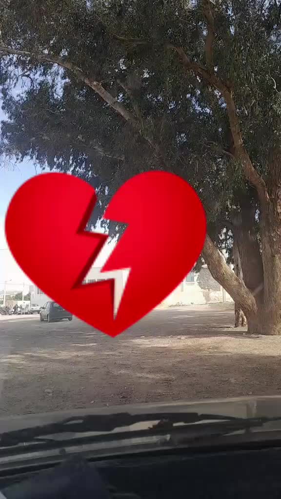 @Ismail T