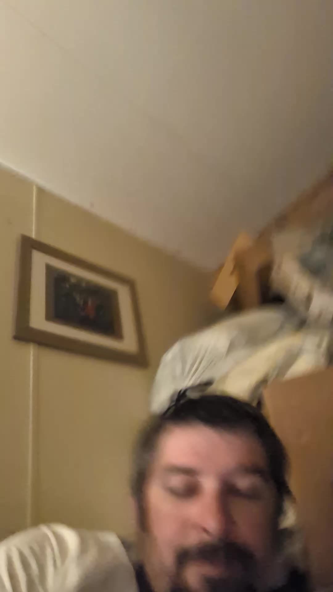 @invadergir616thejoker