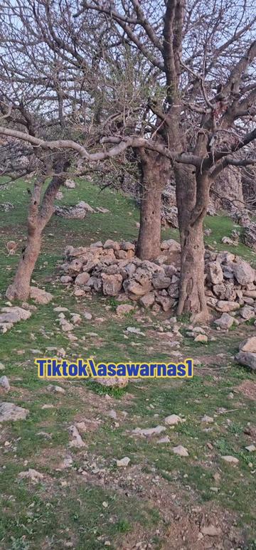@AsawarNas