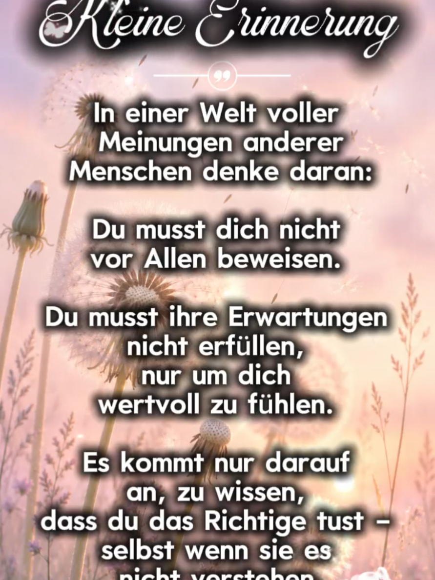@storfine