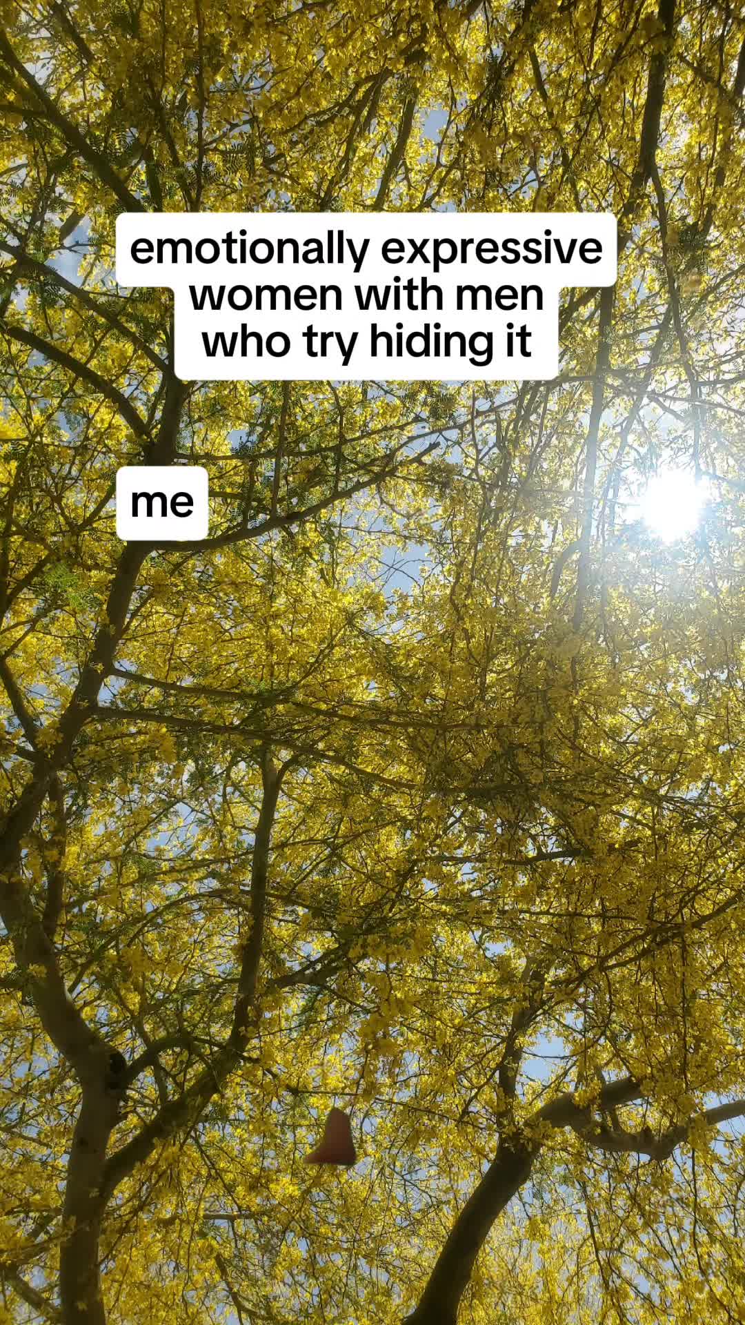 @TheBodyOwl.com
