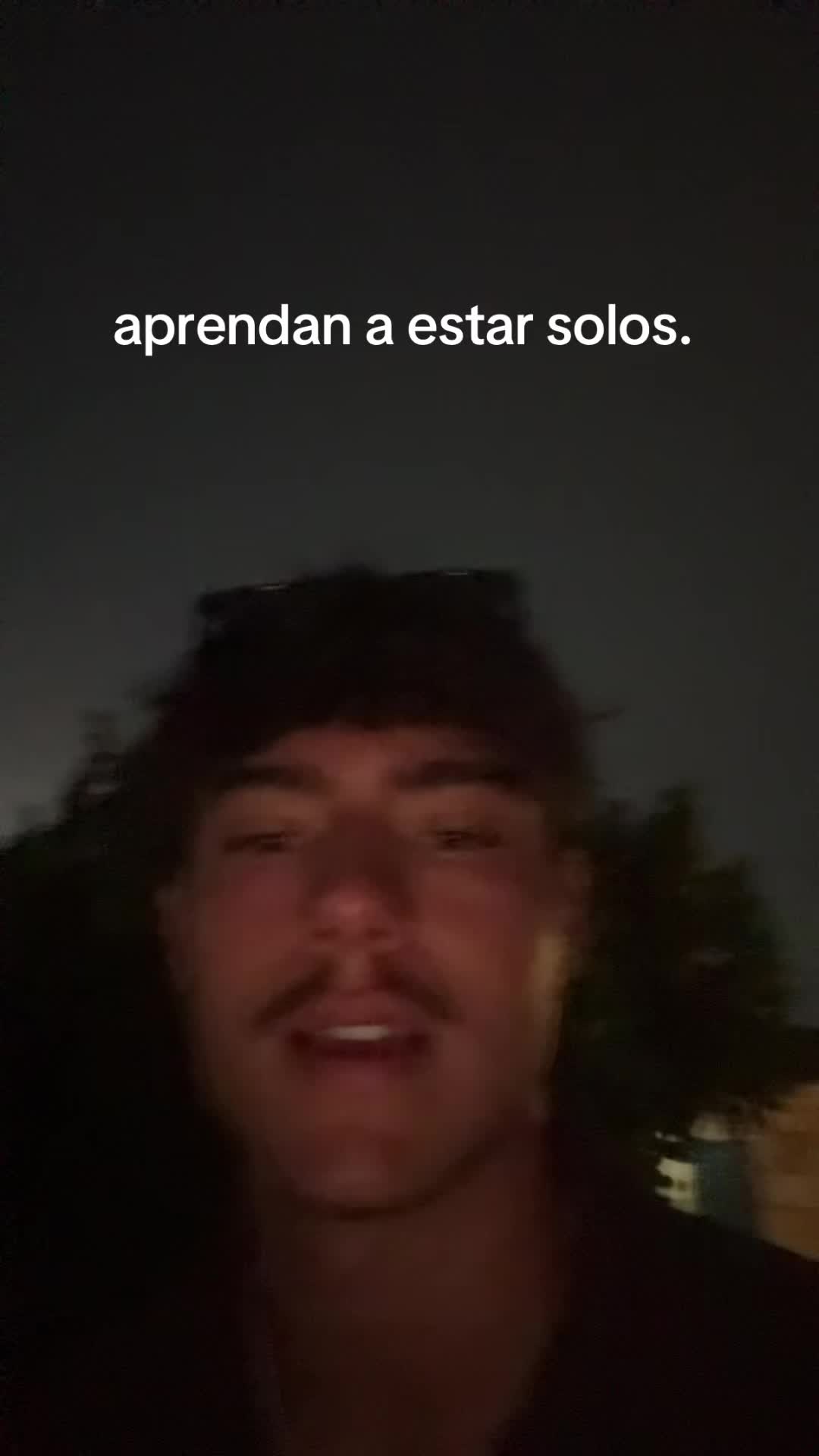 @mendiolaenusa