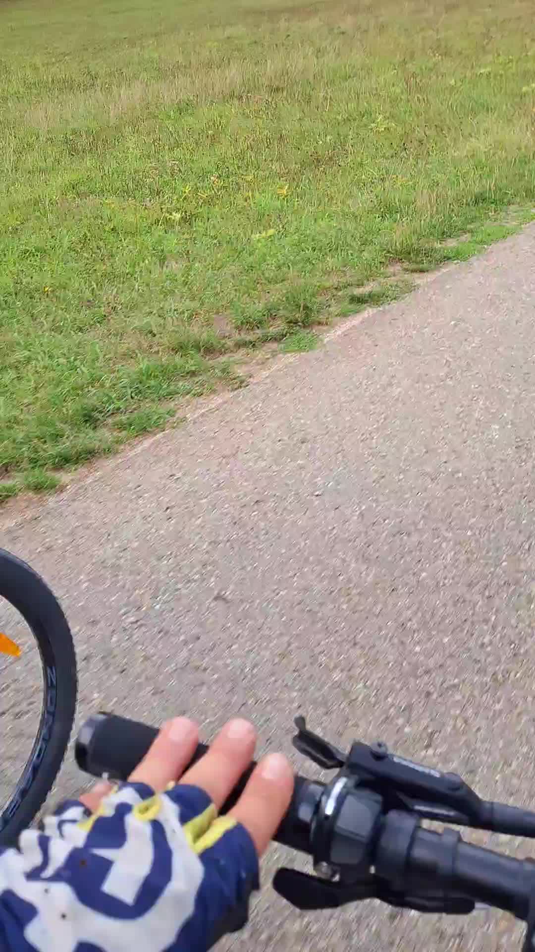 @🏁cc🏁