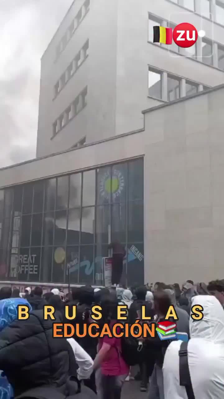 @Zucko Bruselas
