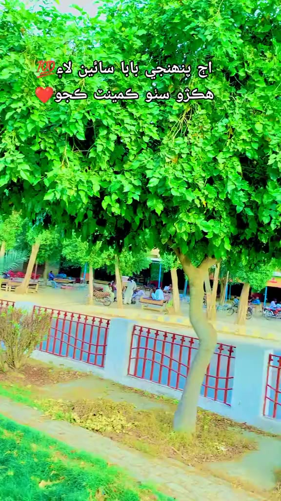 @واهبلوڇ واه