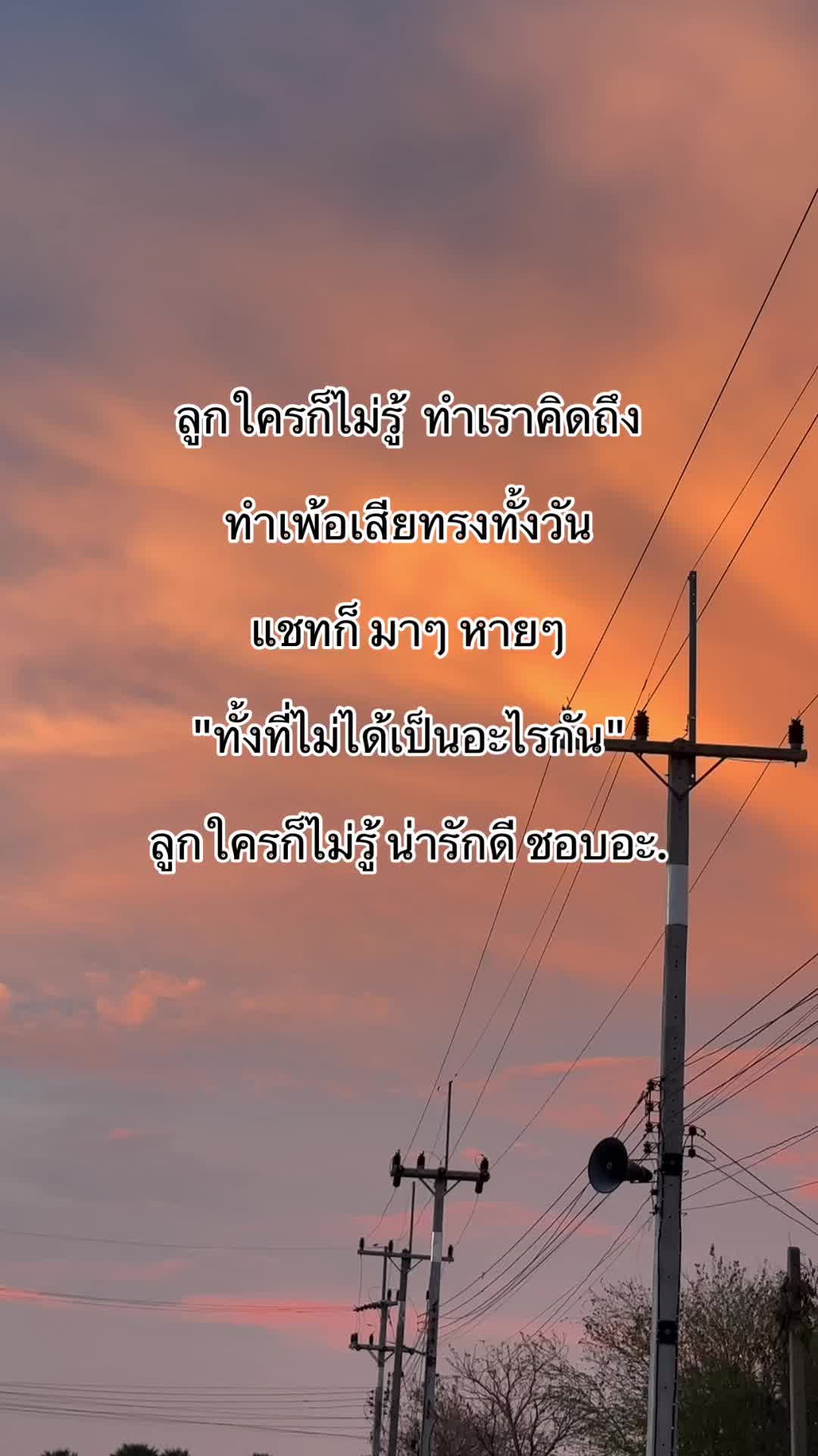 @susabi004