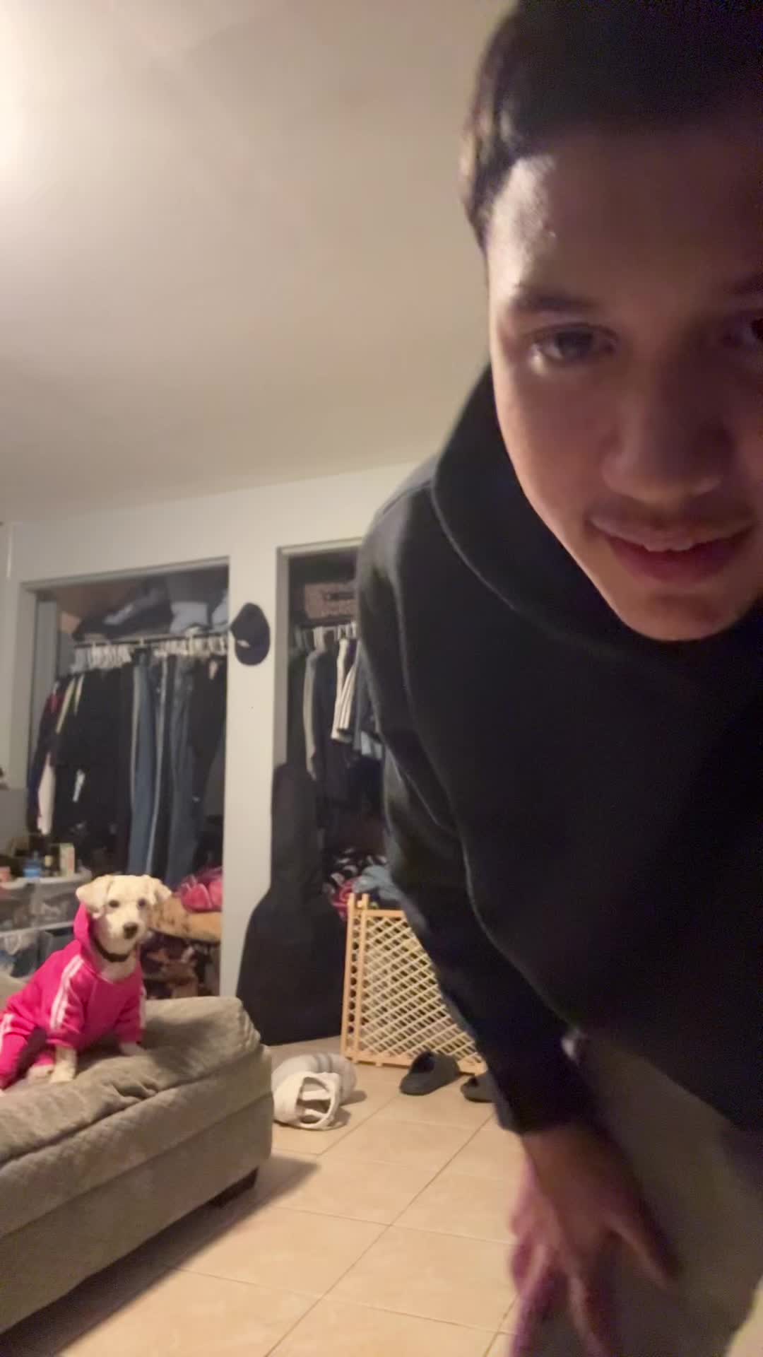 @notjabibi01