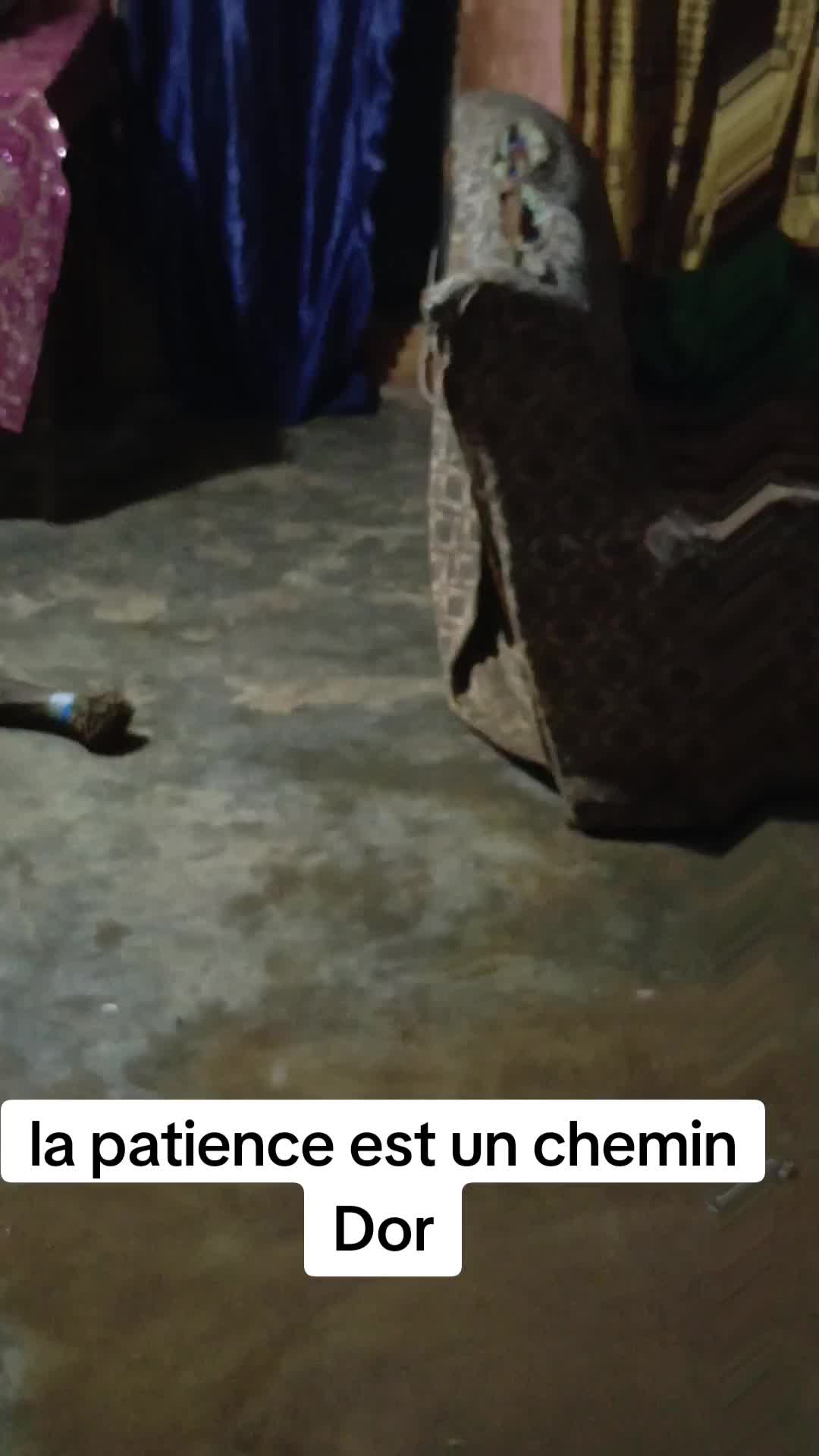 @la zigu&eacute;hi de TikTok