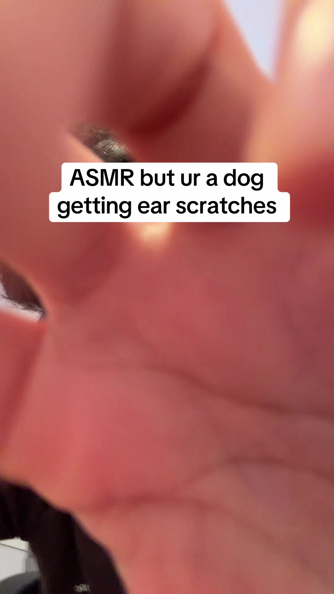 @arda.asmr
