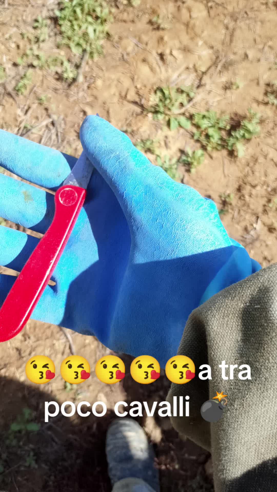 @Stefano Zagara