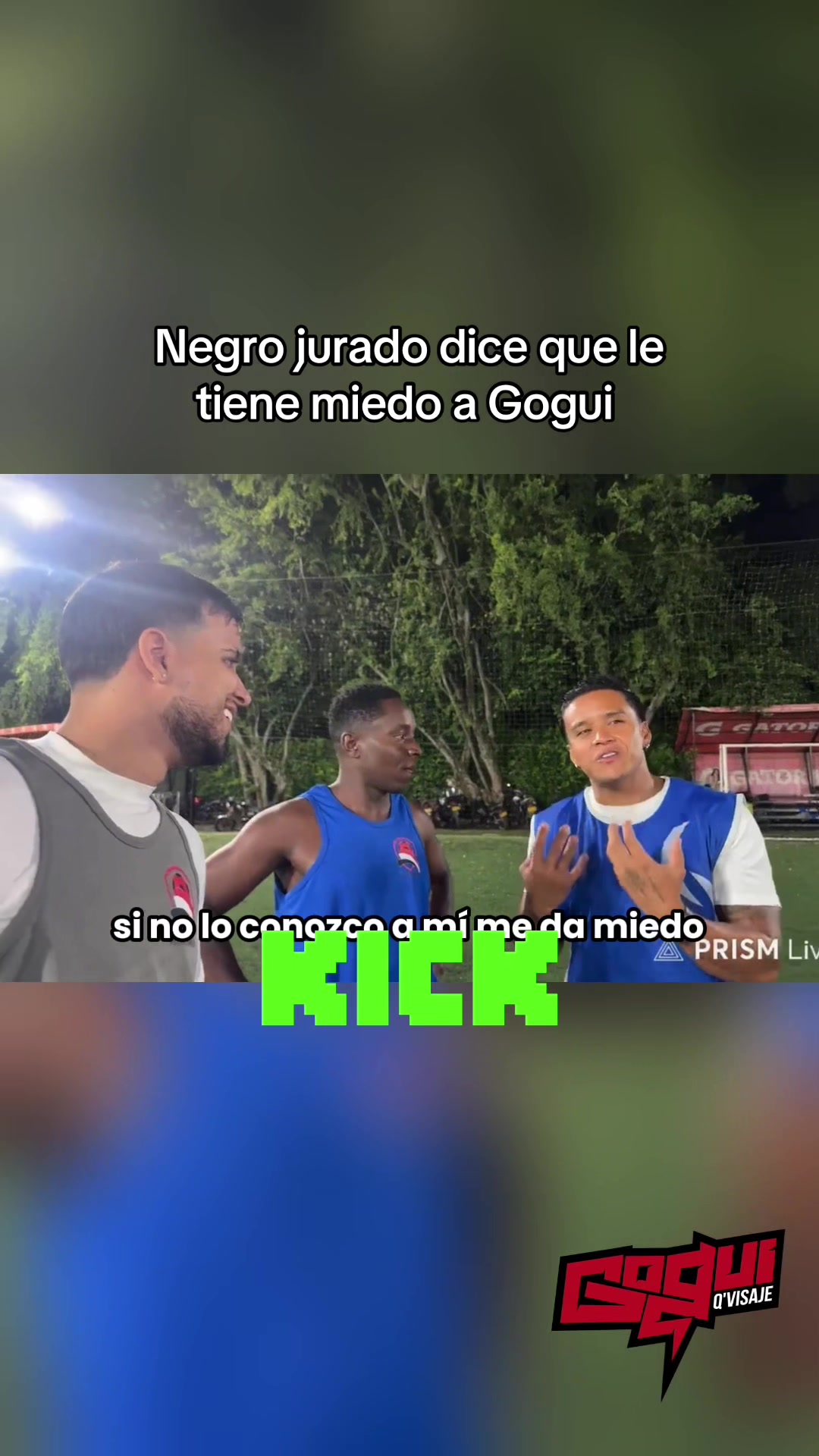 @thegogui1.0