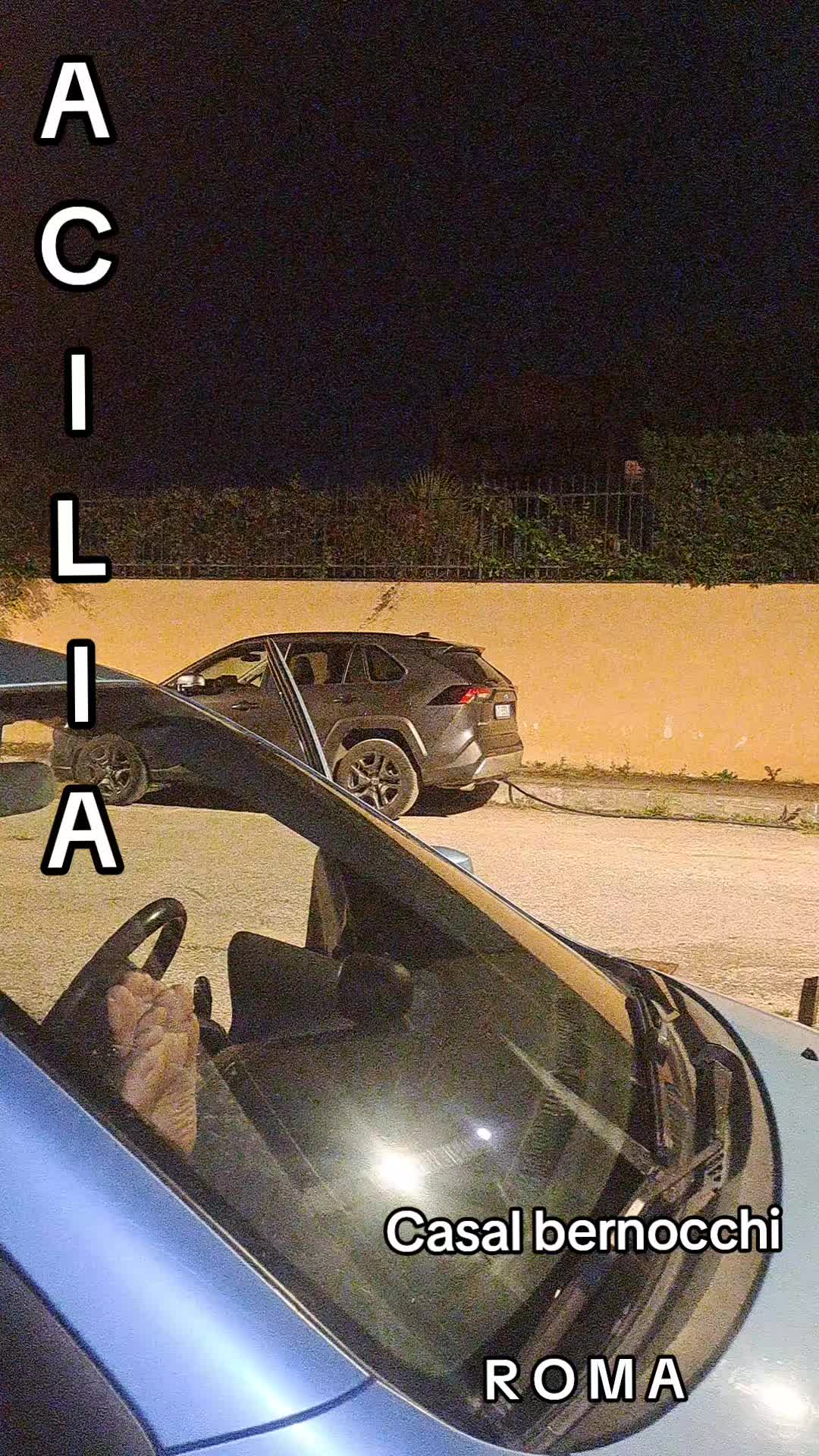 @Mario Vassecchi