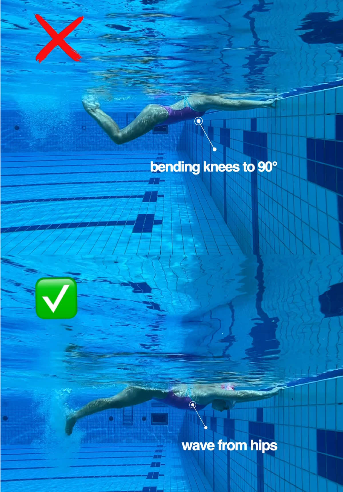 @Swimsy.co | Swim platform