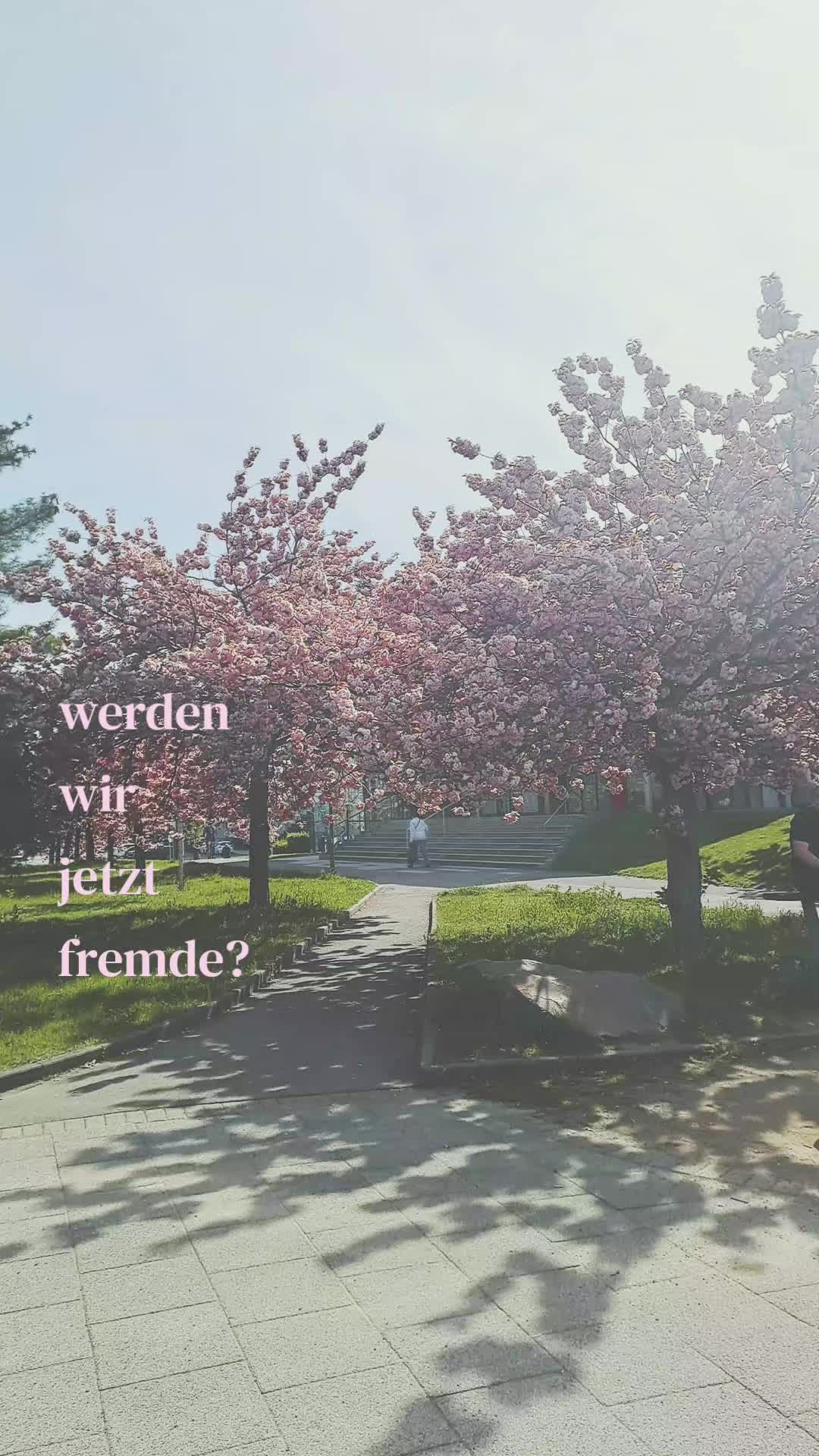 @💭
