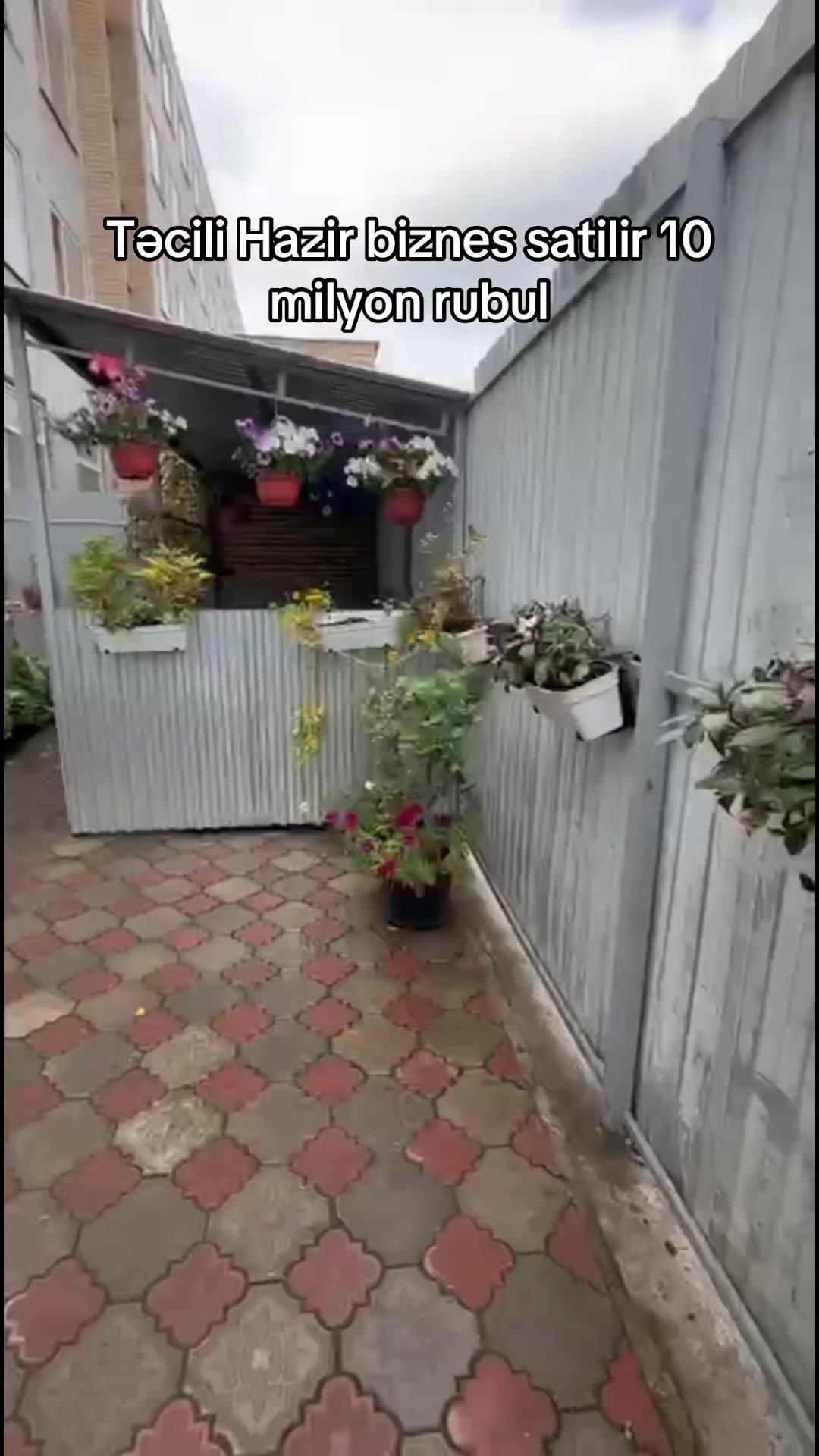 @Талыш044🇦🇿🇷🇺