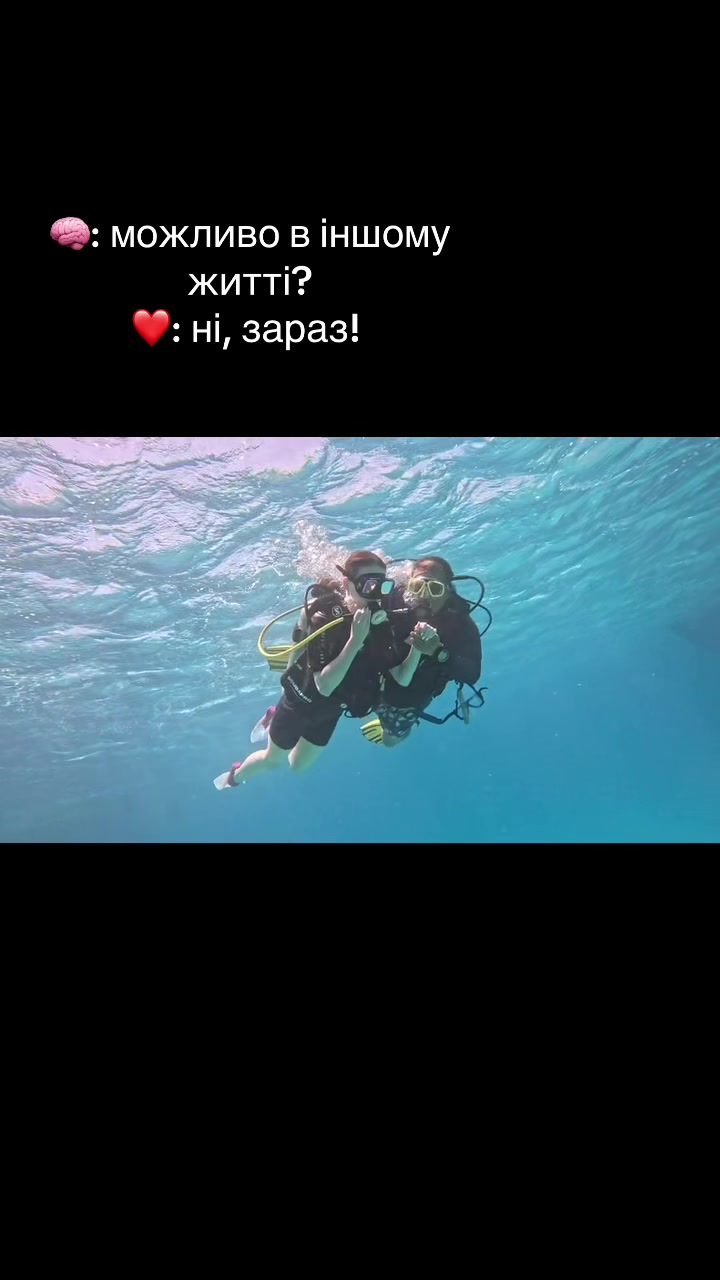 @yelyzaveta🎀