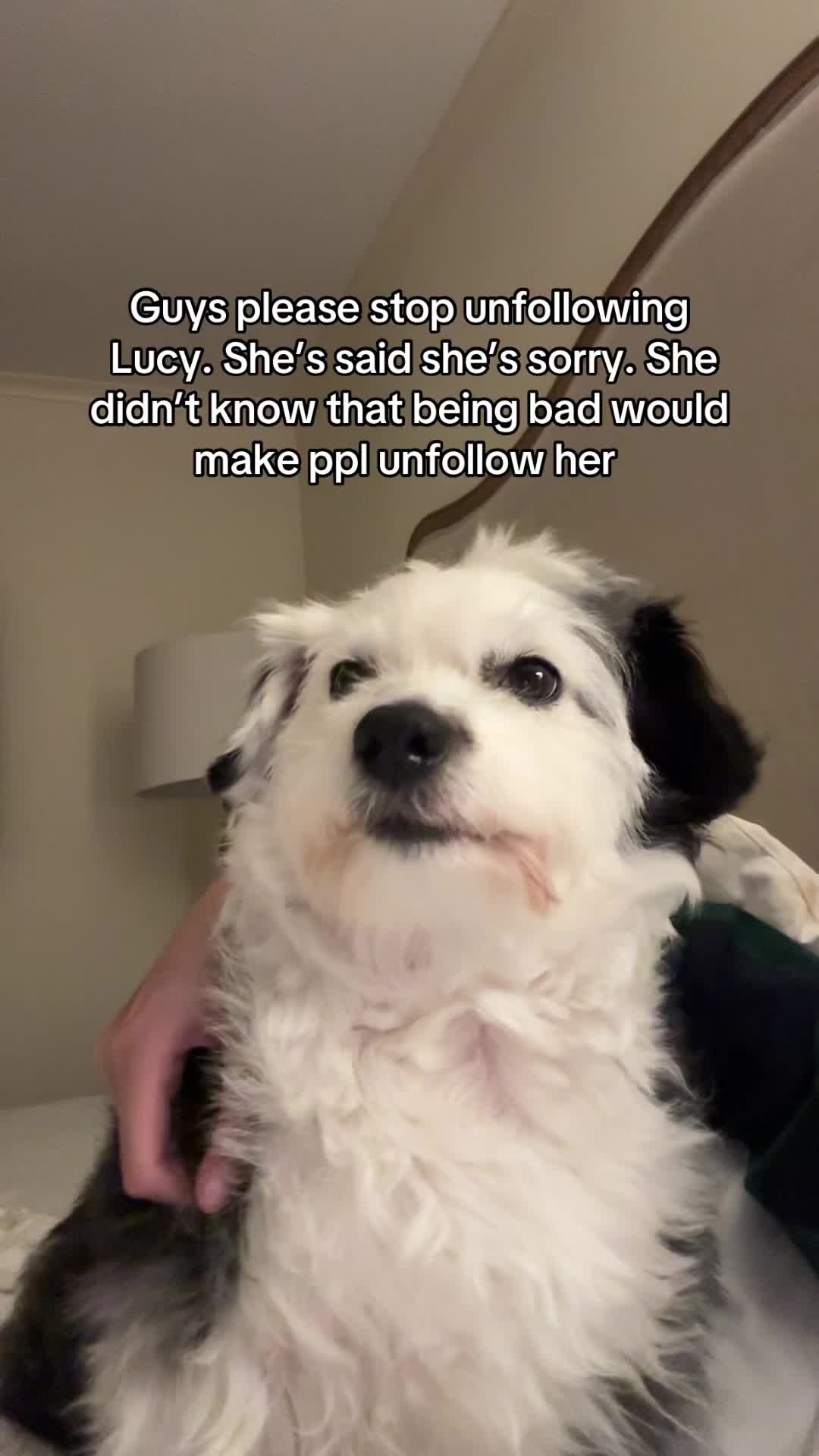 @Lucy Lou