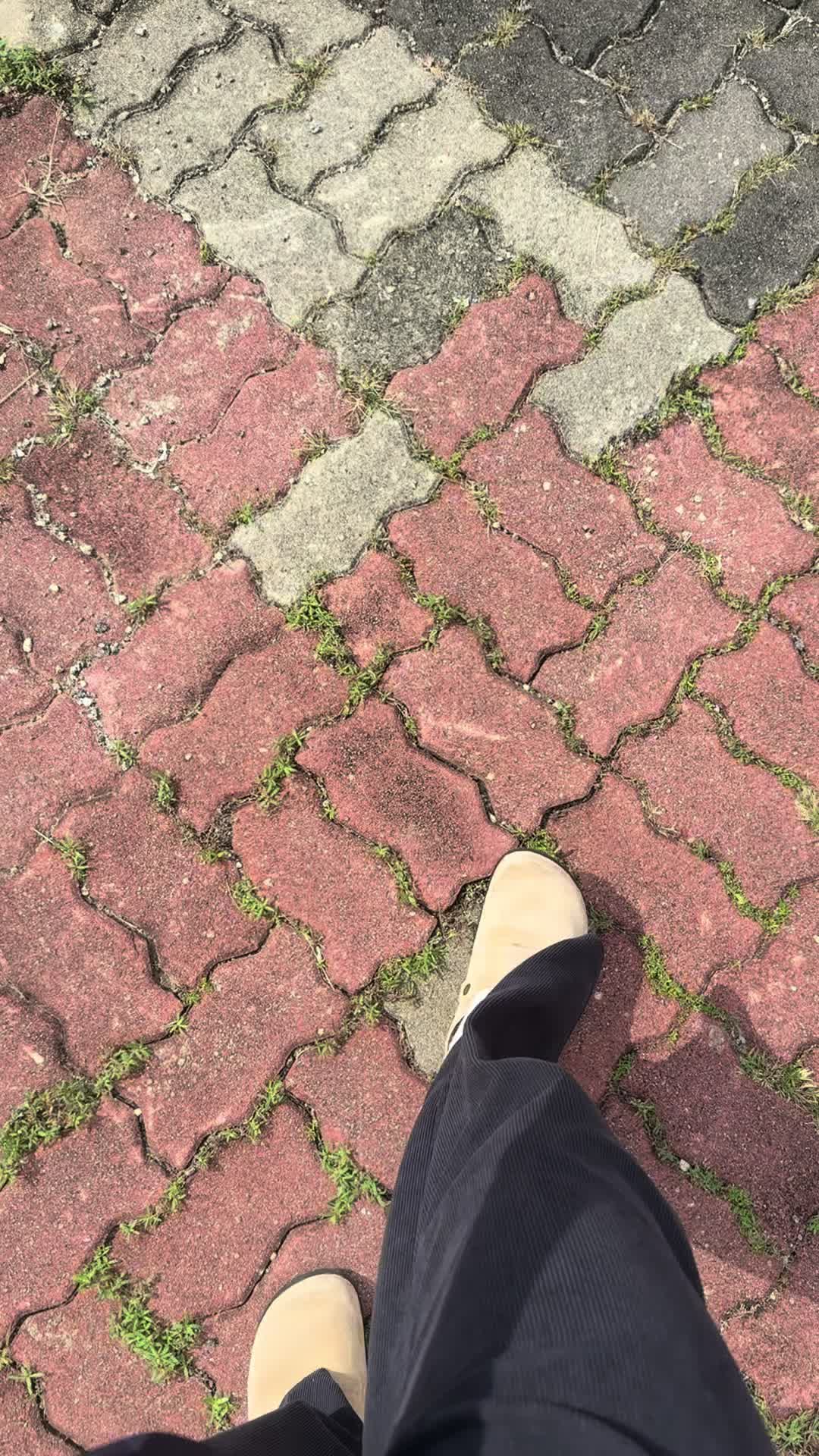@qimfilliate_