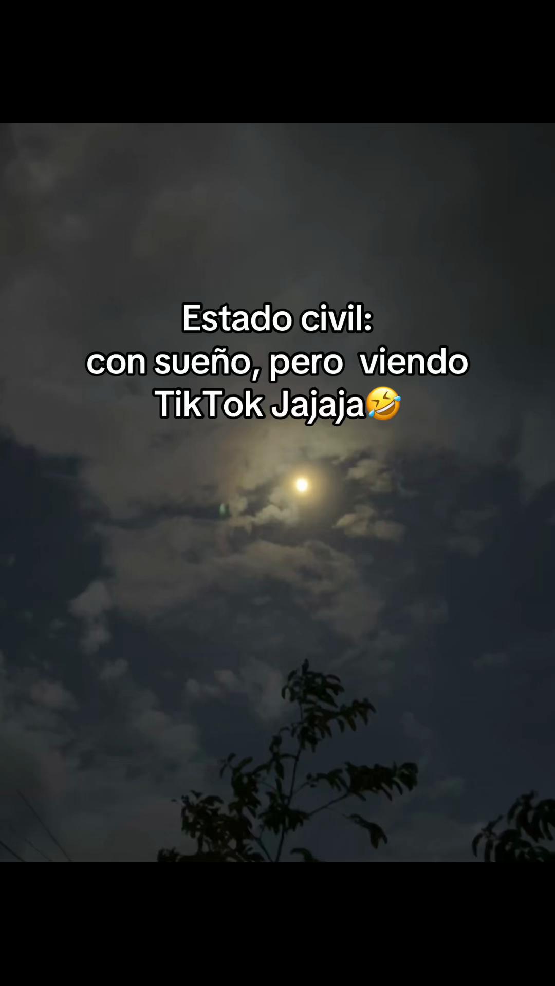 @🥑Andrea Castillo🥑