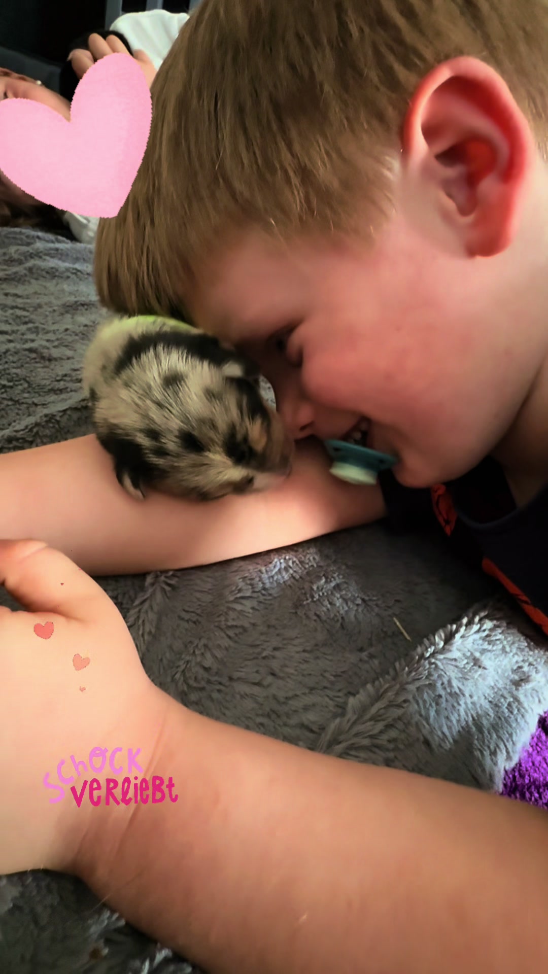 @Mylo_wird_zum_Assistenzhund