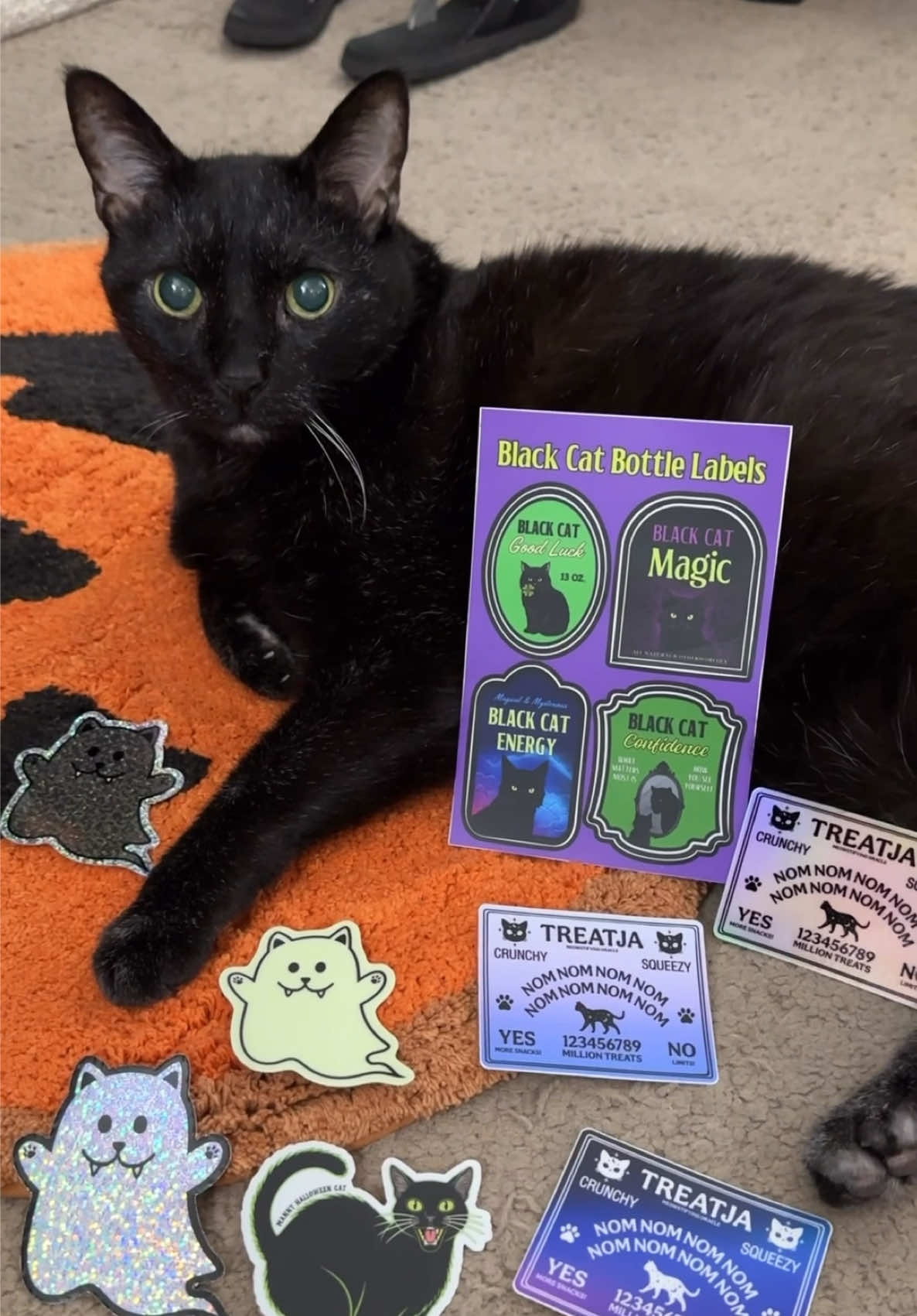 @Manny Halloween Cat
