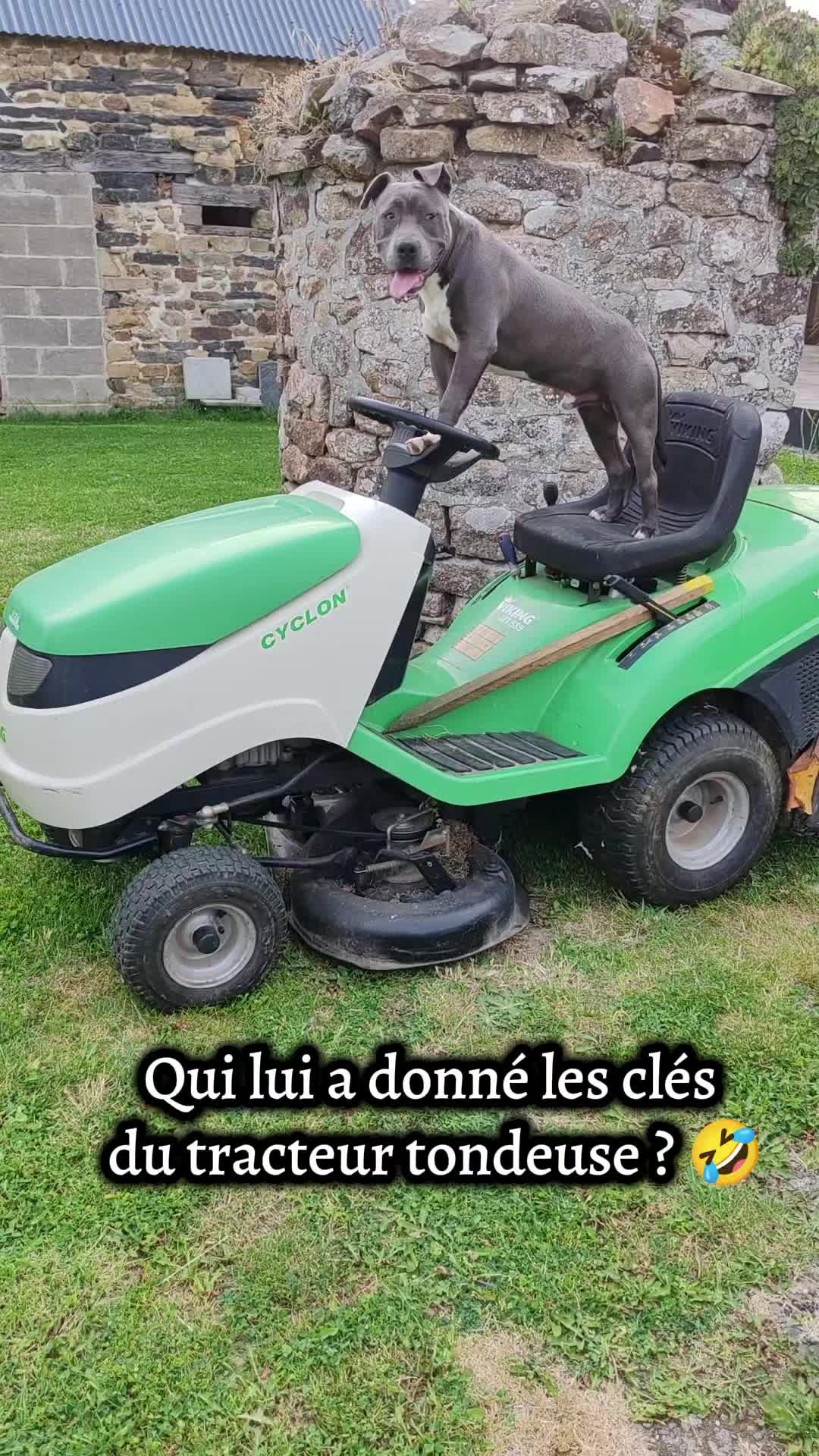 @Asko amstaff