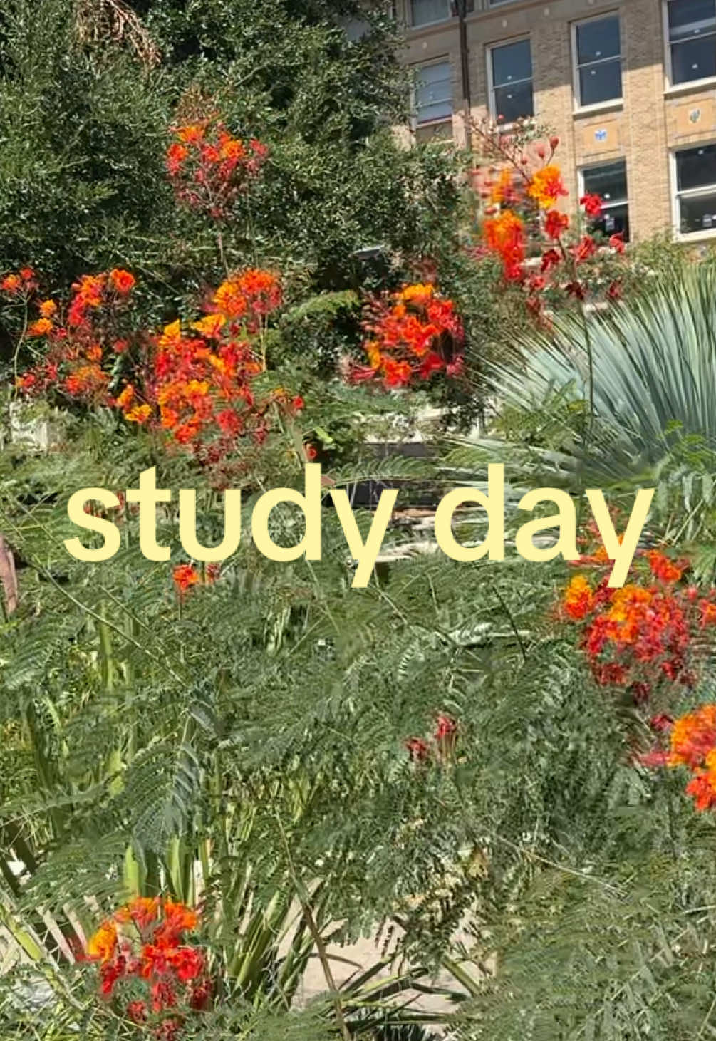 @maya🧿🎧🪩💐