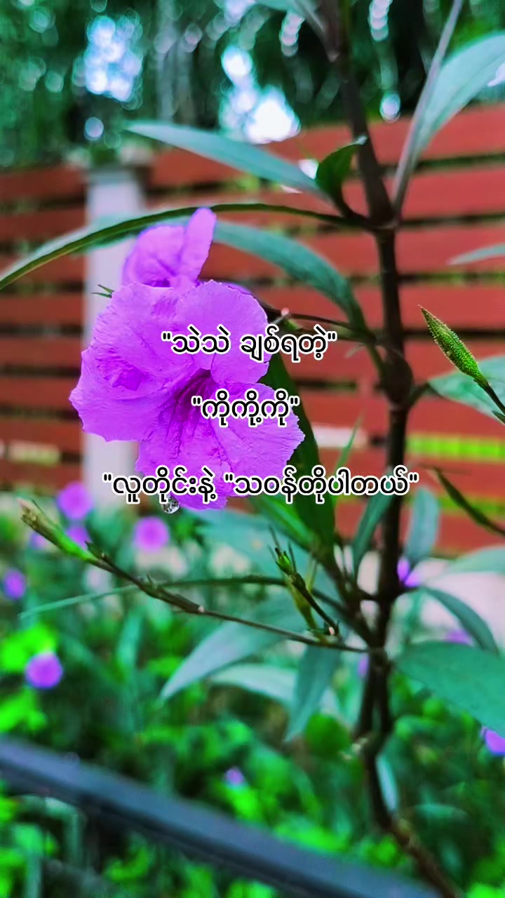 @๐ฅ๐ต๐๐๐ฆ๐ฅ๐ฟ๐๐ฆ๐ฅ(official)