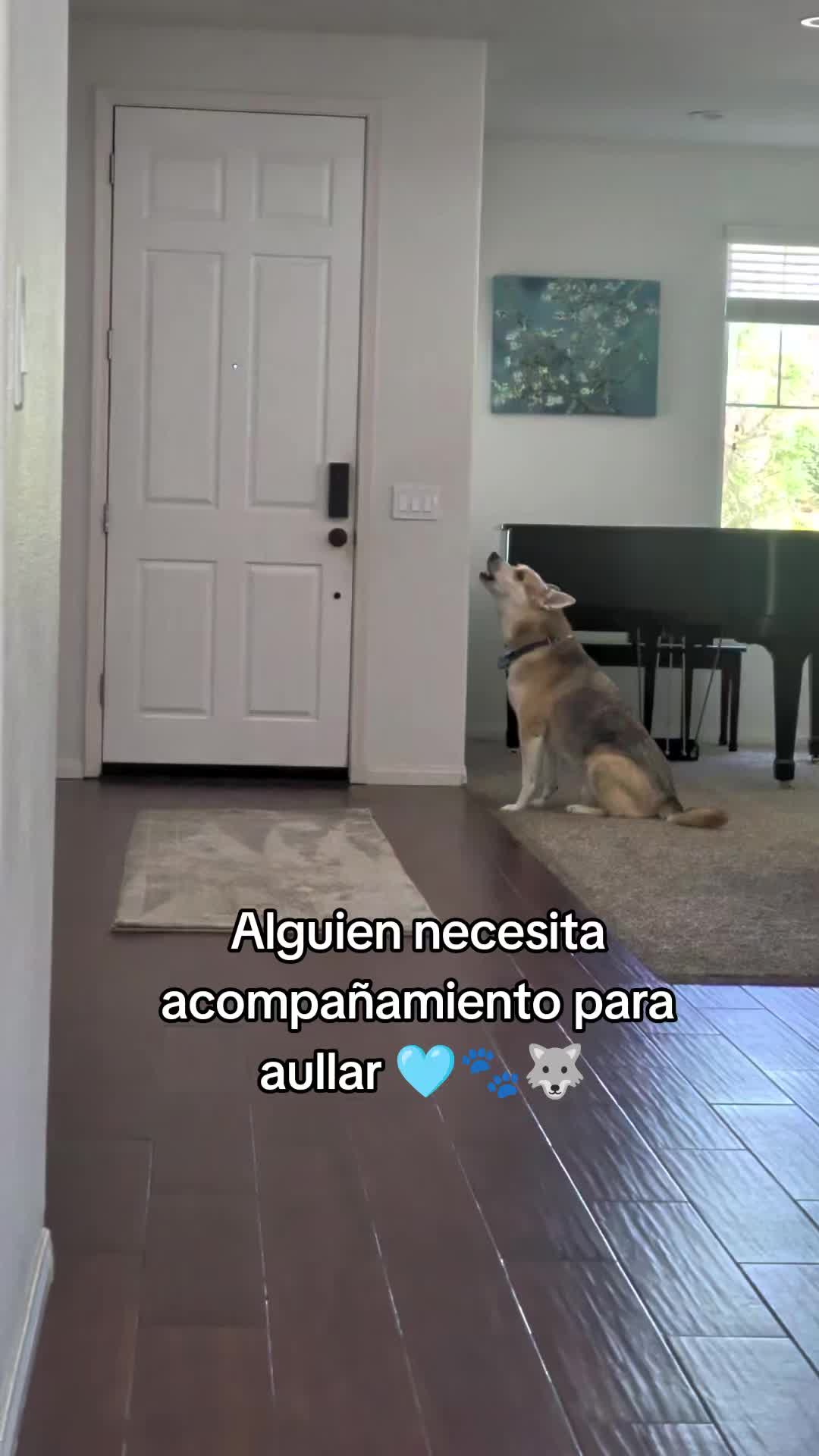 @Aleja 🇨🇴🇺🇸