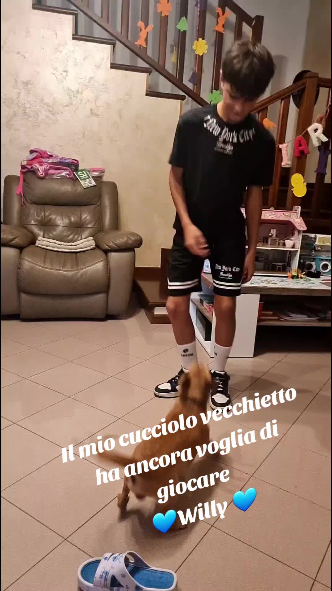 @Anna Gherghel