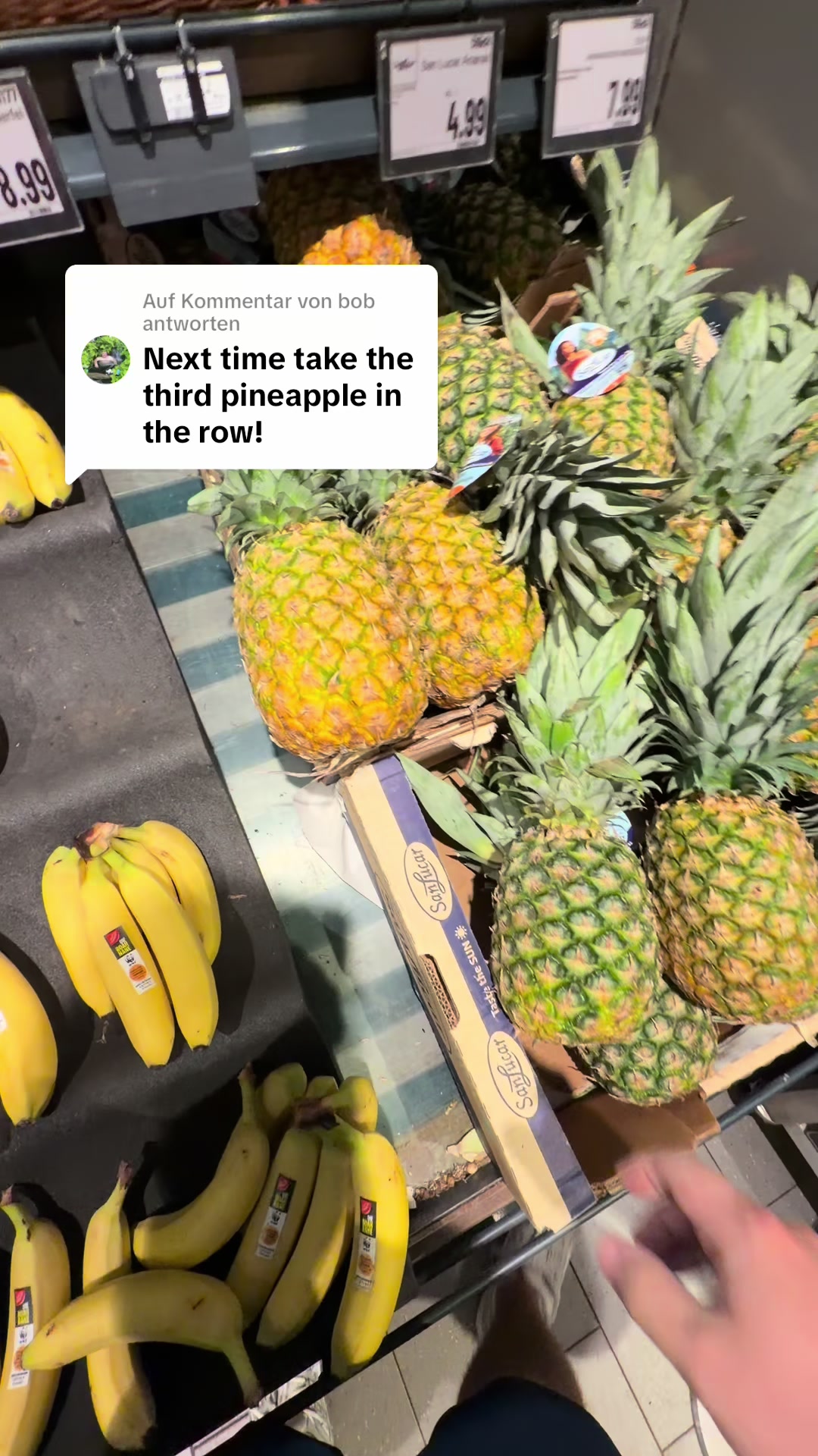@PineappleHeine