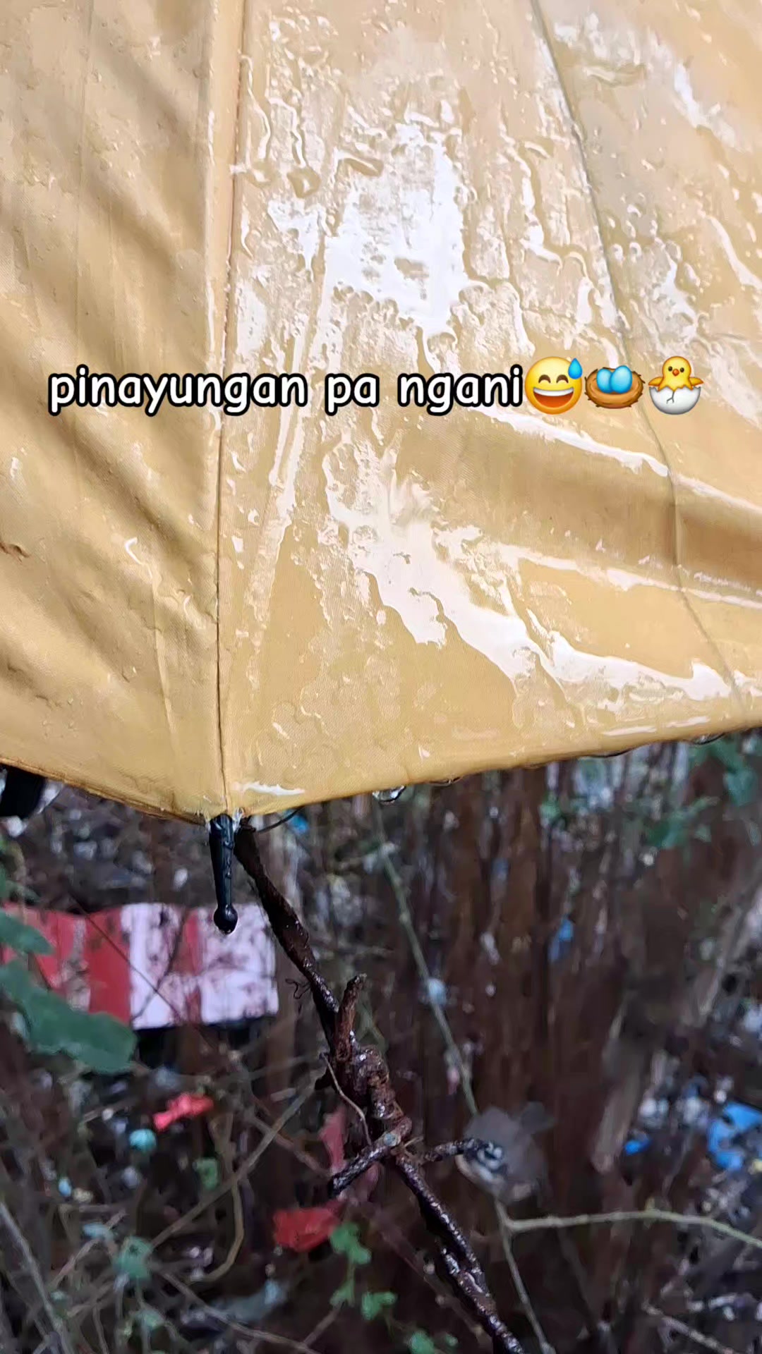 @cathl33n🤘