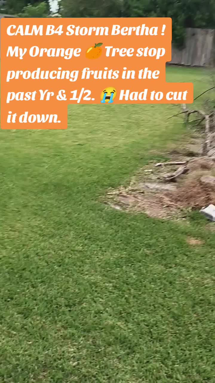 @BayouJuCreole5
