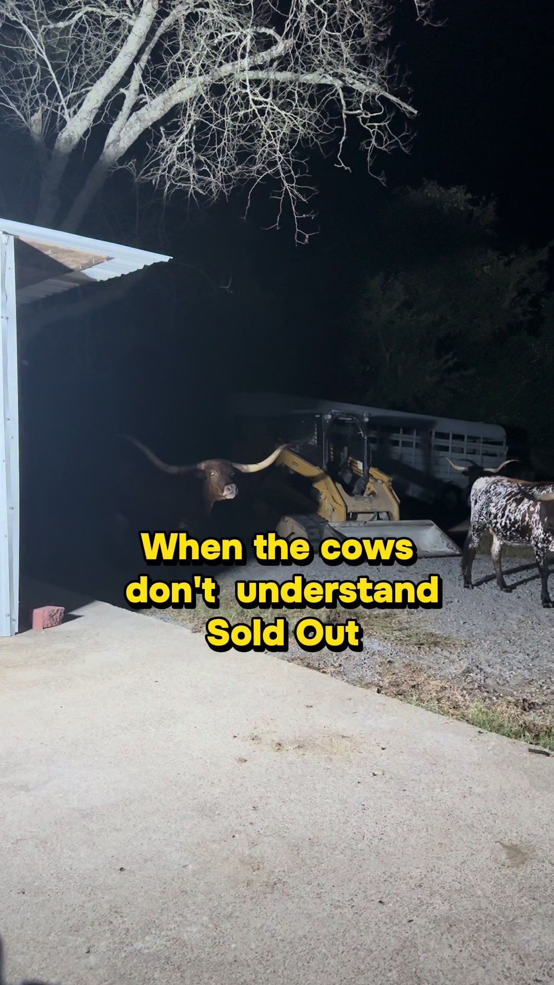 @bar_m_longhorns