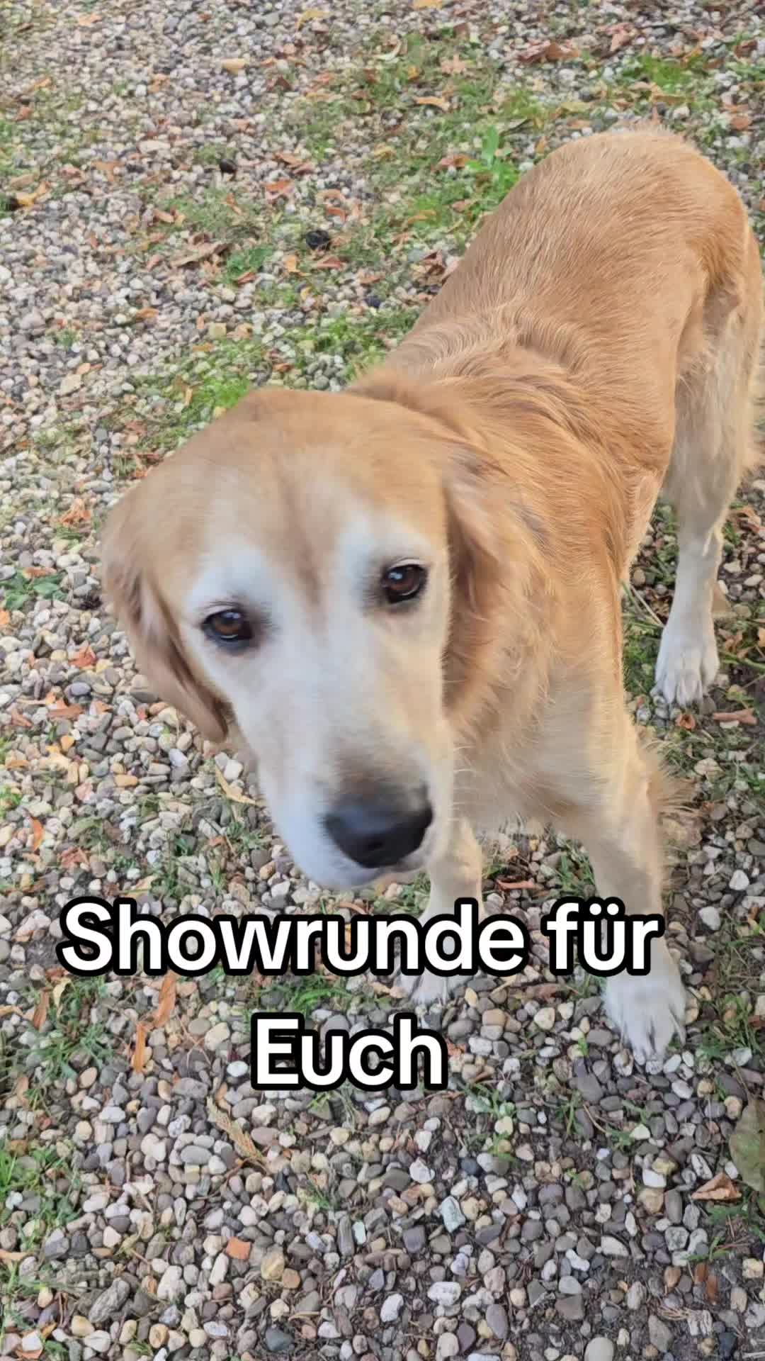 @Fellnasen WG