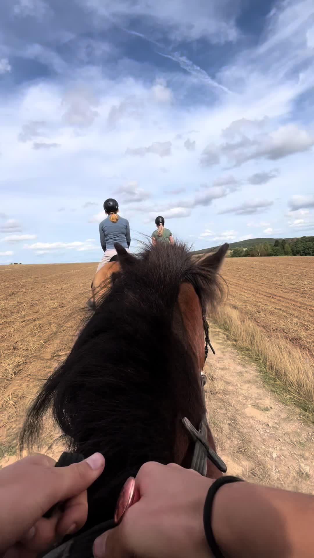 @Anni (M&Mversion)🇳🇴