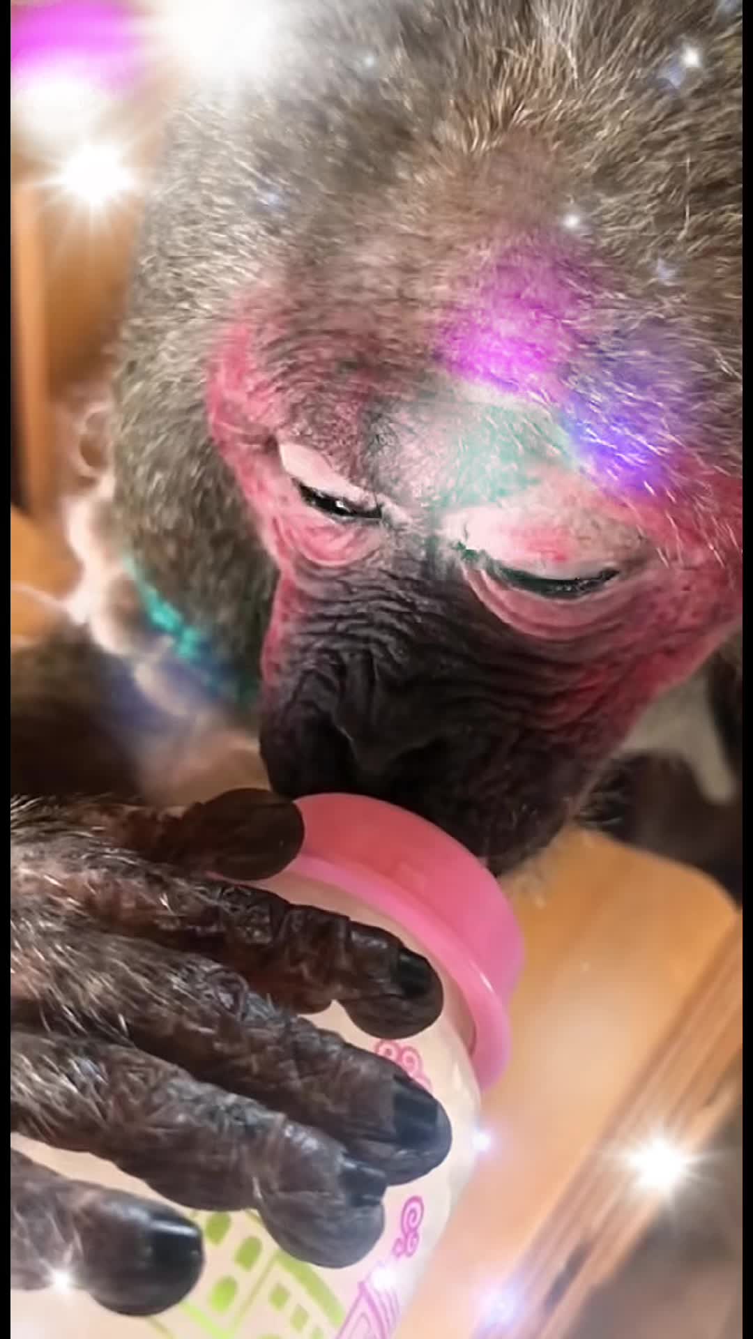 @mario.bassetti8