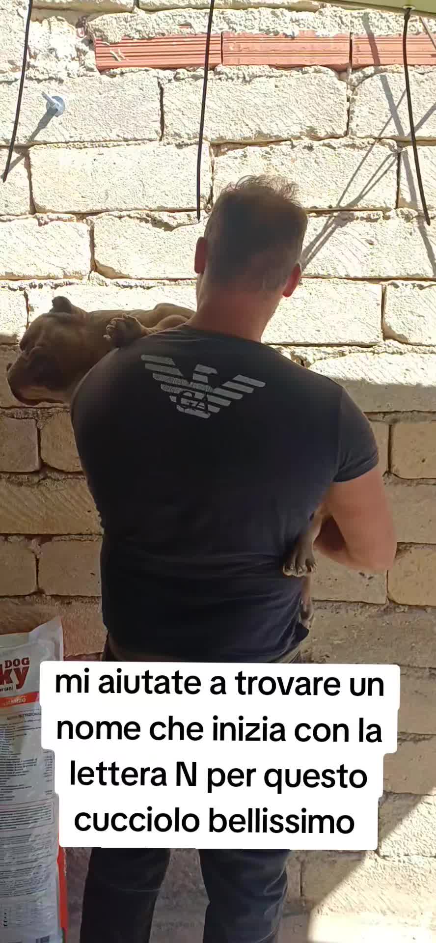 @Alfio Arcifa Magistrale