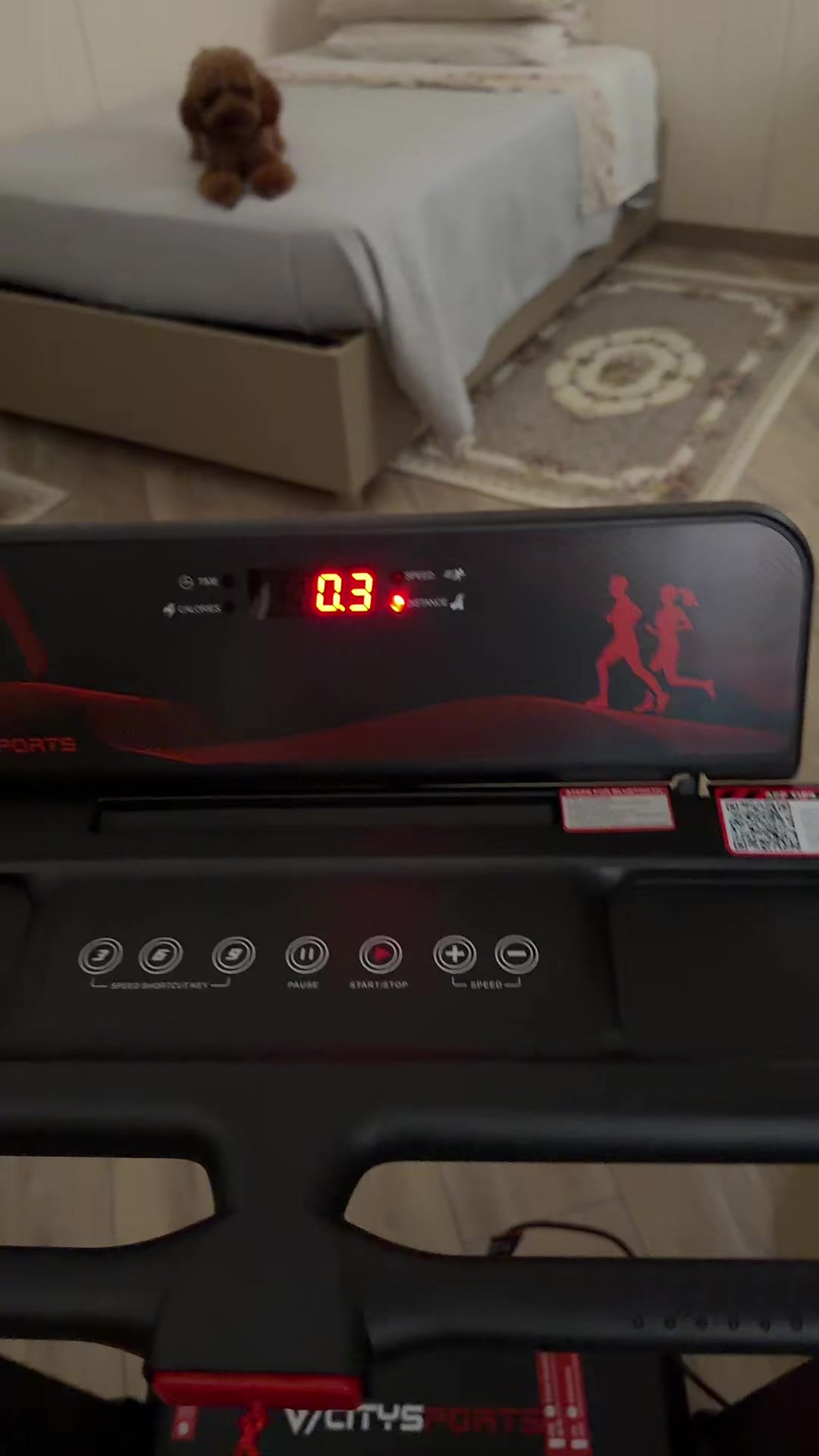 @misterpellapazzofamily1