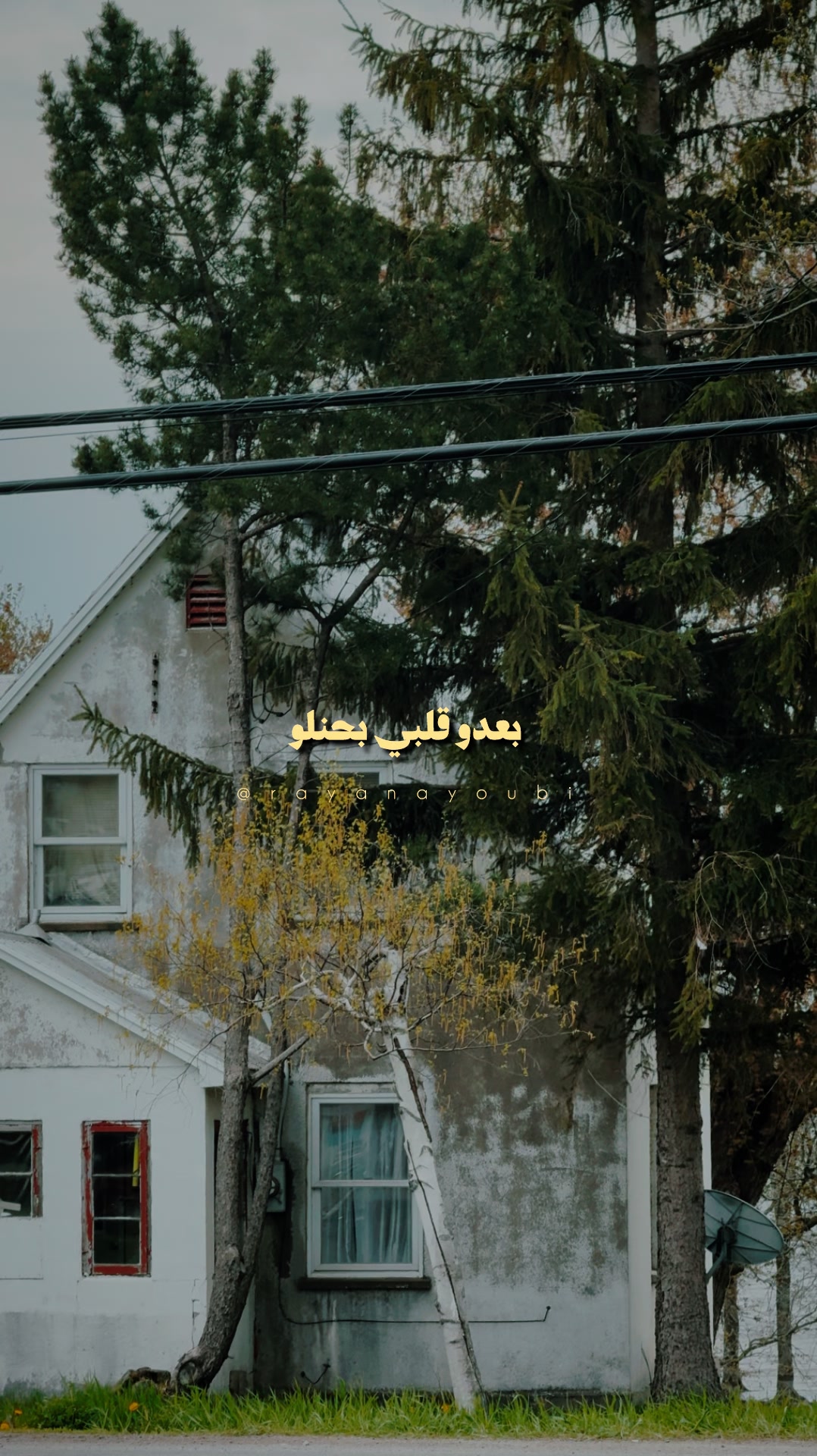 @Rayan El Ayoubi