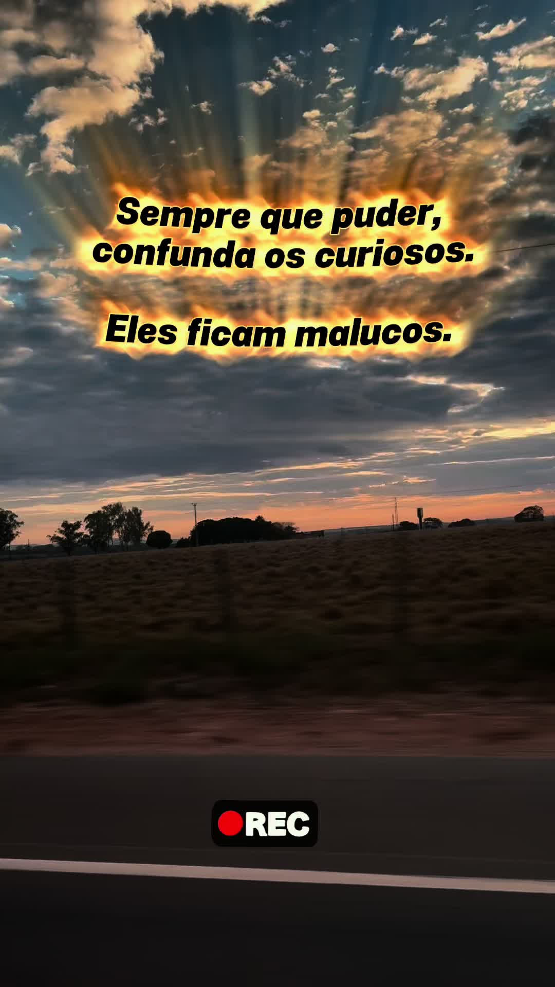@gesyaparecida74