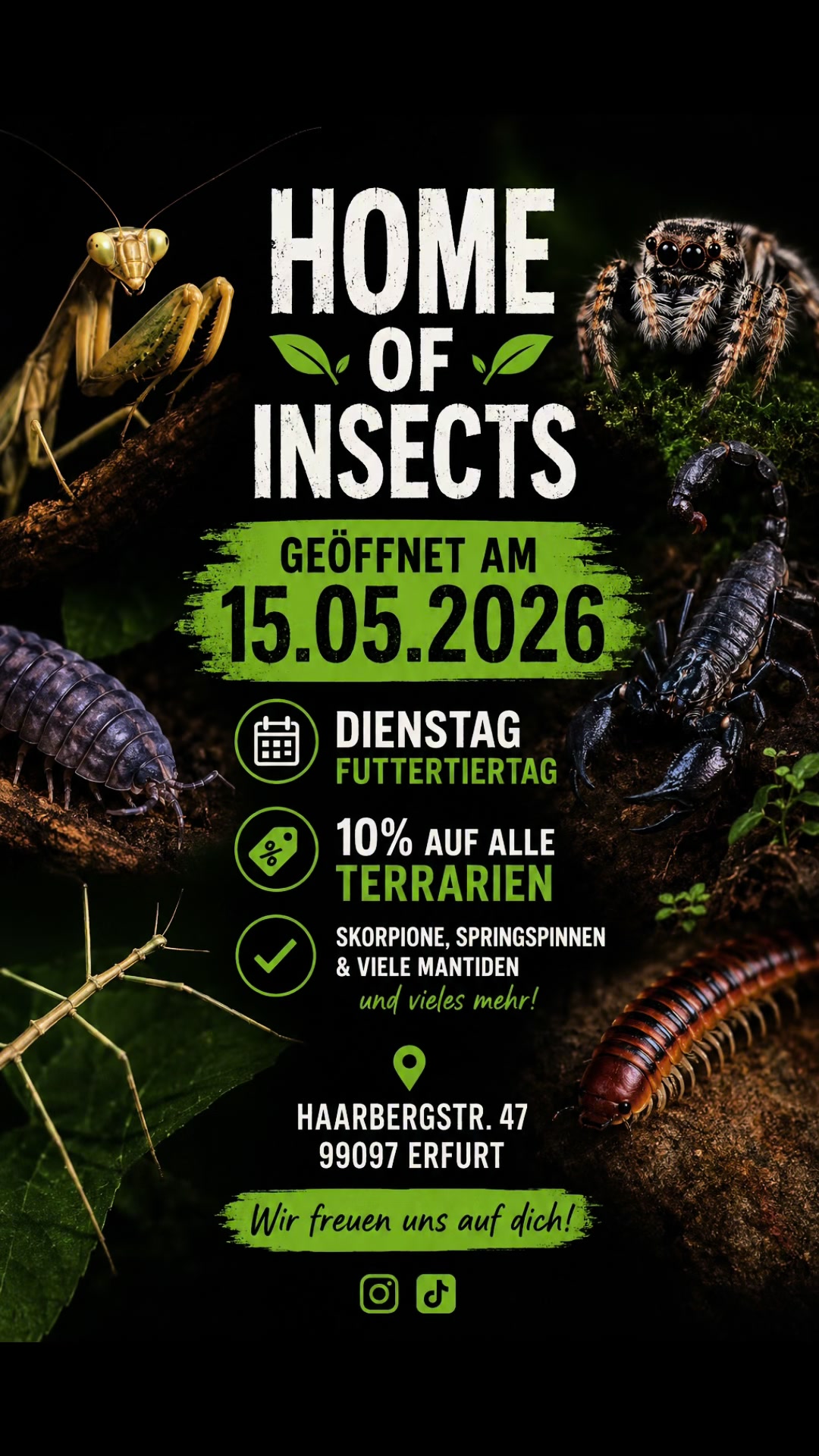 @Home-of-Insects