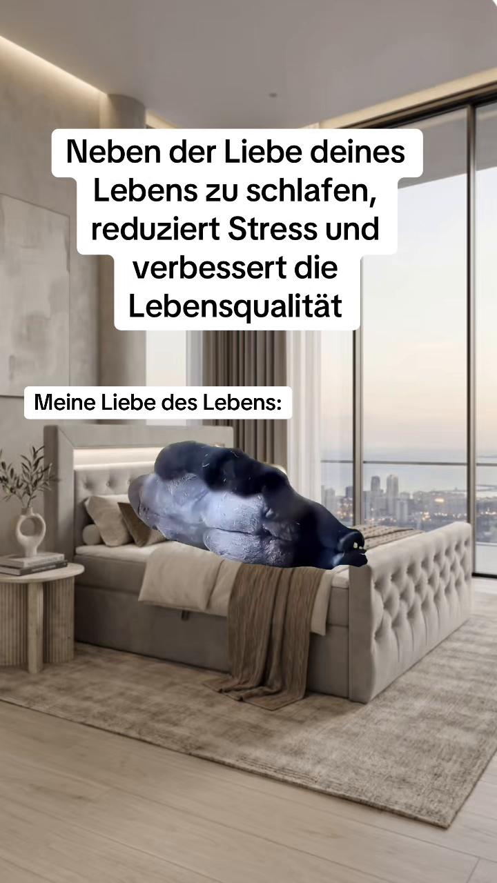 @Daymeme🫨