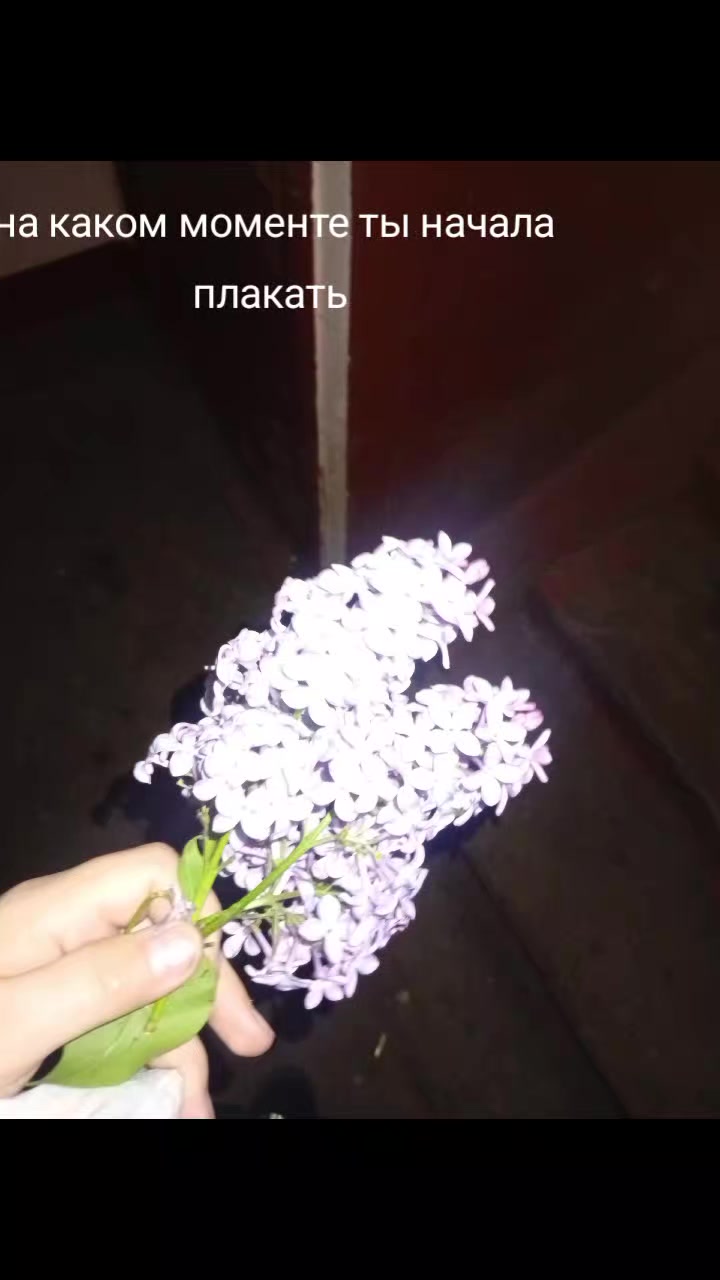 @Кристина полторашка