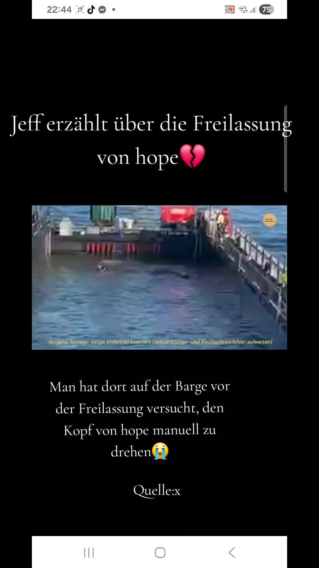 @ibrabo♡🐈&zwj;⬛🫶💞