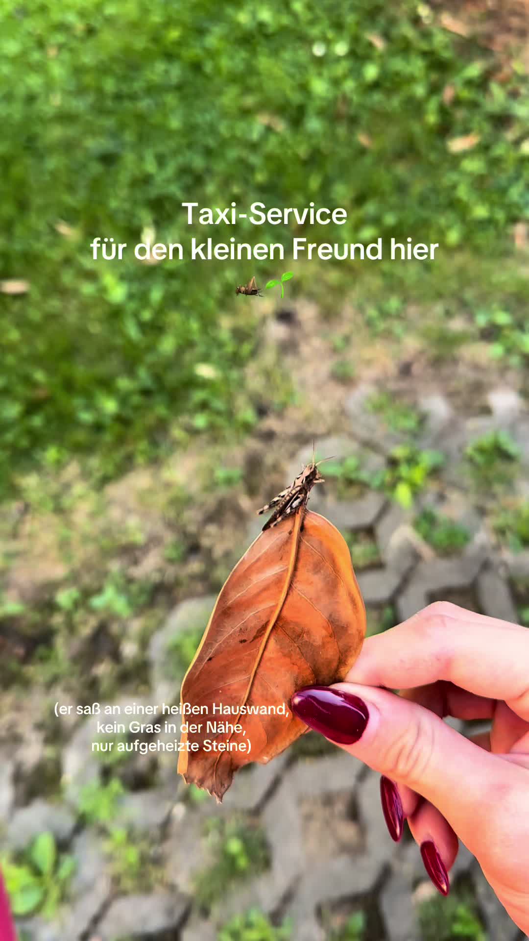 @Nicole 🌱🌼